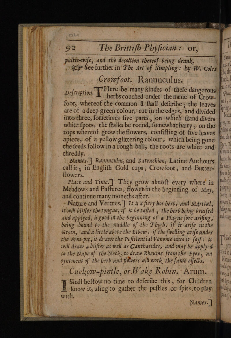 Say ete hopeetaege zhane ae PTE ERE EES REQ SES oma Me Behe Seat Die eS Pk eae eS ee ole Soe ip Re rigs cess Vee RS BRS SAF aR Se SPSS Ls Pett a ea ies SS te: 12 ES BEN syst f FHT ina ates FS) CaN sped yebhoanes ive FT wa en . ¢ peje ha rede : é 3 ENE EL BH Oe Hee At we Pee eU R$ 92 The Brittifb Phyfician: or, | pultis-wife, and the decoction thereof being drunk: | aw ic See further in’ The Art of Simpling: by W. oo i Crowfoot. Ranunculus. fe ‘Here be many kindes of thefe dangerous peer herbs couched under the name of Grote oe foot, whereof the common I fhall defcribe ; the leaves are of adeep green colour,’ cut in the edges, ‘and divided into three, fometimes five parts, on which ftand divers |“, white fpots, the ftalks be round, fomewhat hairy; onthe } Cops whereof Sane the lowers, confi {ting of five leaves i apiece, of a yellow glittering colour , which being gone | | the feeds follow ina rough ball, the roots are white and: 2! chr eddy. Names. | Ranunculus, and Batrachion, Latine Authours ceallic, in Englifh Gold cups, Crowfoot, and. Butter- flowers. Place and Time. | They. grow almott every where th Meadows and Paftures, flowet-in the be ginning of May, || and continue many moneths after. [ms Nature and Vertues. | It # a fiery hot herb, and Martial, | it will blifter the tongue, if it betafted ; the herb being bruifed d aan and applyed, is F000 t in the beginning of a Plague fore arifing , Wi Otte being bound to the middle of She Thigh, if it avife in the | Groin, and alittle above the Elbow, if the (welling avifeunder | the Armpit, it draws the Peftilential Venome unto it ferf: it | a will draw a blifter as well as Cantharides, and may be applyed | to the Nape of the Neck, to draw Rheume fromthe Eyes, an ij q let a oyntment of the herb and flowers will work, the [ante effects, » \y Ntute I Hh ad ony Cuckow-pinile, or Wake Robin. Arum. . (ui) Shall beftow no time to defcribe this, for Children | ie know it ufing tO gat her the peftles or {pits to play a Dileg vith. a ie) 7 Names. | Defcription. =S a> > ~ => = —- Weby Tb if Ou ie ———2