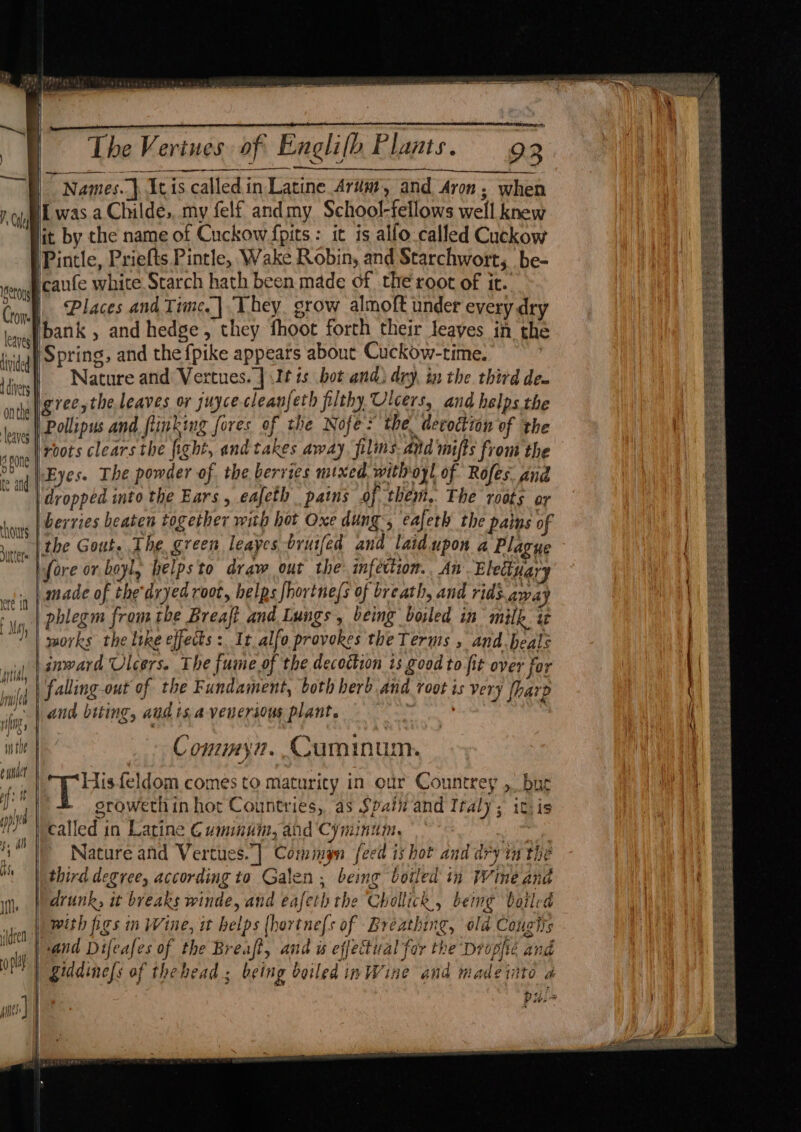 | Names.) Icis calledin Latine Arum, and Aron; when iL was a Childe,, my felf andmy School-fellows well knew lit by the name of Cuckow {pits : it is alfo.called Cuckow Pintle, Priefts Pintle, Wake Robin, and Starchwort, be- Icaufe white. Starch hath been made of the root of it. | Places and Time.| They. grow almoft under every dry Ibank , and hedge, they fhoot forth their leaves in the t Spring, and the {pike appears about Cuckow-time. Nature and Vertues. | \It ts bot and) dry, in the third de. grec,the leaves or juycecleanfeth filthy Ulcers, and helps the Pollipus and fiinking fores of the Nofe: the. decoction of the roots clears the fight, and takes away, filins. and mifts from the Eyes. The powder of the berries mixed withoyl of Rofes. and | ‘dropped into the Ears, eafeth pains of them. The roots or berries beaten together with hot Oxe dung, eafeth the pains of the Gout. The green leayes bruifed and latd.upon a Plagye Lfore or boyl, helpsto draw out the inféttion. An Eletivary made of the'dryed root, helps fhortne/s of breath, and rids awa phlegm fromthe Breaft and Lungs, being boiled in milk it works the like effects: It alfo provokes the Terms , and.beals inward Ulcers. The fume of the decoction 1s good to fit over for falling-out of the Fundament, both herb and voot is very {harp Commyn. Cuminum. Hisfeldom comes to maturity in our Countrey , bur erowethin hot Countries, as Spain and Italy; ityis called in Latine Cumin, and Cyminum, oe Nature and Vertues.| Comimyn feed is hot and dry im the third degree, according to Galen , being boiled in Wine and drunk, it breaks winde, and eafeth the Chollick., being boiled ‘with figs in Wine, it helps (hortne{s of Breathing, old Cougits ‘and Difeafes of the Breaft, and w effectual for the Drophe and giddine/s of thebead ; being boiled in Wine and made into a 4) Bat
