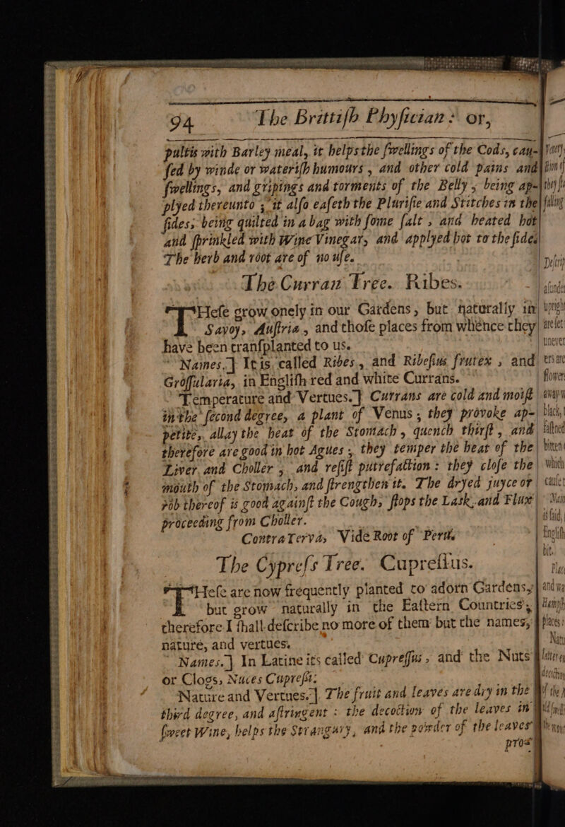 PRBS LF 4 Sea SSE ee ee 94 The Brittifb P. hyfictan / Or, —- pultis with Barley meal, it helpsthe fwellings of the Cods, canal) fed by winde or waterifh humours , and other cold pais anaiii i fovellings, and gripings and torments of the Belly , being apa) fi plyed thereunto ; “tt alfo eafeth the Plurifie and Stitches in the} fuling fides; being quilted in a bag with fome falt , ana heated hdt| and fprinkled with Wine Vinegar, and applyed bot to the fides The herb and root are of no ufe. | ai The Curran Tree. Ribes. | “¥Hele grow onely in our Gardens, but faturally sm ions Sayoy, Auftria, and thofe places from whence they) ele have been tranfplanted to us. | | uneve Names.} Itis. called Rives, and Ribefius frutex ; and ¢ Groffularia, in Englifh red and white Currans. | flower Temperature and Vertues. } Currans are cold and moift | aay inthe fecond degree, a plant of Venus, they provoke ap bac, petite, allay the heat of the Stomach , quench thirft, and faftned therefore ave good tn hot Agues , they temper the bear of the| vier Liver. and Choller , and refift putrefattion : they clofe the| wu mouth of the Stomach, and firengthen tt. The dryed juyce or | calle 47 pob thereof is good againft the Cough, ftops the Lask..and Flux Xen | 4é fs ag } auld proceeaing from Choller. | Contraterva, Vide Root of ‘Perth | Engl The Cyprefs Tree. Cupretius. ra 4 Bias are now frequently planted co’ adorn Gardens, sity but grow naturally in the Eattern Countries, damp therefore I thall-defcribe no more of them’ but che names, J pls: nature, and vertues. Naty “Names. | In Latine its called’ Cupreffis » and the Nuts or Clogs, Nuces Cuprefit: | Nature and Vertues. |. The fruit and leaves are diy im the | third degree, and aftringent : the decockwn of the leaves in BM ln) P TOs 4