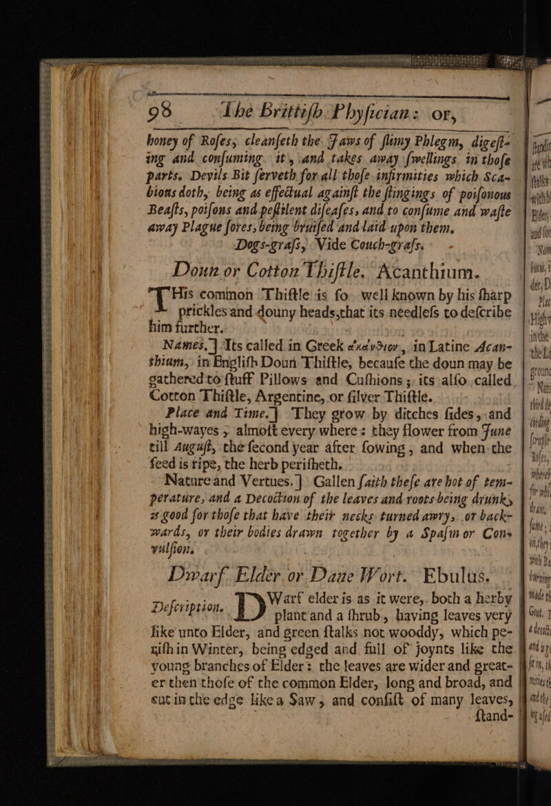 4 papidebear aes os tio ee ogee age staan f Pome te ‘dnt SESE Me he Ee SS Se ES Pee Se Eee See SESE Sern ee eas AN TEE HR TS TEN alana ANY * seth? AWesopsuruce (amass 98 dhe Brittifh Phyftcian: ion ing and confuming. it, and takes away fwellings in thofe parts. Devils Bit ferveth forall thofe infirmities which Sca- bions doth, being as effectual againft the flingings of poifonous Beafts, poifons and peftslent difeafes, and to confume and wafte away Plague fores, being bruifed and laid upon them. Dogs-grafs, Vide Couch-grafs. Doun or Cotton Thiftle. Acanthium. His common Thiftle is fo. well known by his fharp him further. | : Names, | Its called in Greek exavSiov, in Latine Acan- shium, in Bnglifh Doun Thiftle, becaufe the doun may be gathered to {tuff Pillows and Cubhions ;) its alfo called Cotton Thiftle, Argentine, or filver Thiftle. | Place and Time.| They grow by ditches fides, .and high-wayes , almott every where: they flower from June cill auguft, chefecond year after fowing , and when the feed is ripe, the herb peritheth. perature, and a Decoction of the leaves and-roots-being diunky vulfion. Dwarf Elder or Daue Wort. Ebulus. Defcription. xyifhin Winter, being edged and full of joynts like the young branches of Elder: the eaves are wider and great- erthen thofe of the common Elder, long and broad, and | cut inthe edge likea Saw, and confaft of many aves: | and- rar — Pf ite it 1 talks: F withb Bidet, and {0 Natt | bi, | det, D Plat ‘High Oranne Dp ONG Nati carding (orufle shove fir wh drain { 4 me Af Git, 7 4 desat iin, Msttes4 isthe WY ug