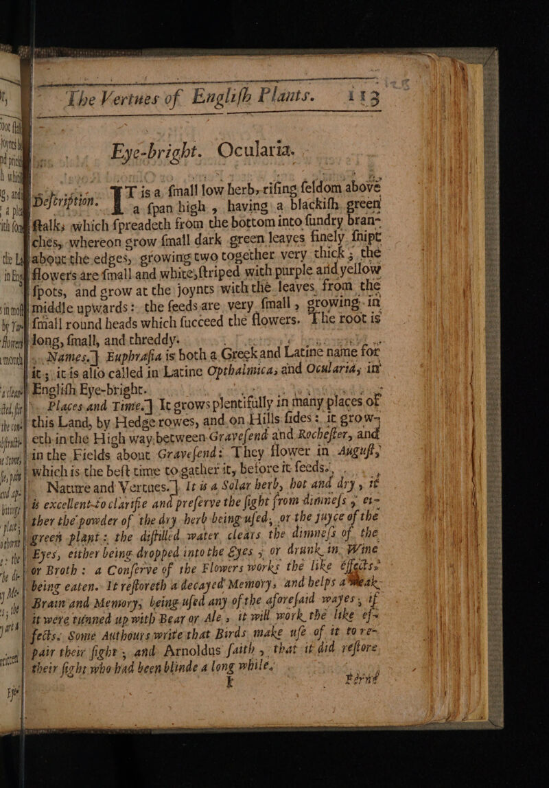 anal eemmeramt a ates Eye-bright. Ocularia. rT isa, {mall low herb; rifing feldom above a cea bru 2 SOMES | “id Ape biwigt § ‘places pshirns p+ the He dle y Me fs the } are iches, -whereon grow {mall dark green leaves finely {hipt flowers are {mall and white; ftriped with purple arid yellow middle upwards: the feeds are very fmall, growing: in |. Names.} Euphrafia is both a Greek and Latine name for its. icis alto cailed in Latine Opthalmica; and Ocularia, int ' Englith Eye-bright. hat, assigt oh leslie aie Places.and Time.} Ic grows plentifully in many places of -eth-inthe High way.between Gravefend and Rochefter, and inthe Fields about Gravefend: They flower in Auguft, - . : ’ . ‘ Nature and Veracss| It is a Solar herb, hot and dry, tt is excellenttoclarifie and preferve the fight from dinine{s 5 et green plant: the diftilled. water, clears the dimne(s of. the Eyes, either being dropped into the Eyes 5, oY drank. in Wine or Broth: a Conferve of the Flowers works the like éffectss being eaten. It reftoreth a decayed’ Memory, and belps aWeak- Brain‘ and Memory, being ufed any of the aforefaid wayes, if fects. Some Authours write that Birds make ufe of it tore- pair their fight ; and Arnoldus faith , that tt did veftore tel Bye k Bary