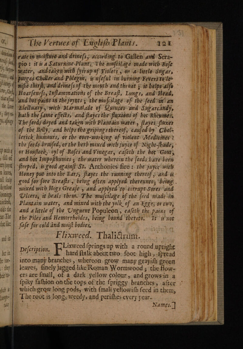 ; ss $ pe ye | Of, = airy hilt \gatein noifture and drinefs, according to Gallen ard Sera- a? (eed pio: 3 it «a Saturnine Plant, The muftilage made with Rofe Ih ne} seater, and-taken with {yrrap of Violets , or alittle Stgar, HONS and purces Choller'and Phlegur, is ufeful in burning Fevers tole tego nifie chix ft; and drine{s of ‘the mouth and throat 5 a belps*alfe ier, Hoarfenefs, Inflammations of the Breaft, Lungs, and Head, thtof ‘al and hotpains in the joynts ; the mufcilage of the feed én’ an tie Li | Electuary,\ with Marmal ale of Qumuces and Sugarcandy, ; it) ) ath the fame effects, and ftayes the fluxions of har Rhewmes. | Lhe Vertues of Englifh Plants. 12 yh re | The feedsdiyed and taken with Plantain water, flayes fluxes | of the Belly, and helps the gripings thereof, éaufed by Chol- | dertck ushours, or the over-working violent Medicines: | the feeds-bruifed; or the herb mixed with juyce of Night-fhade; ip mi 4 or Houfleek, oyl of Rofes and Vinegar, eafeth the hot Gout, sill of | and hoe binpofthumes 5 ; the water wherein the feeds have been fleeped, is good againft St. Anthonies fire : the juyce ° th Honey put into the Ears, flayes the running thereof ; and # ty Joy Nt | Kate hyclot | guixed with Hogs Greafe , and applyed to corrupt Sores anil ‘omnes Gleers, it heals them. The mufctlage of the fe cd wnade-in siti, | Plantain water, and mixed with the yolk of an Egge; or twa, dist | and alitele of the Unguent Populeon, eafeth the pains of at Tne the Piles and Hemorrhoides, being bound thereto. It is not hat like 3 fafe for cold and moift bodies, ial Flixweed.. ThaliGrim. | pefeription, Lixweed {prings up with a round upright put i fi hard ftalk about two. foot high., dpread ie fo | into many branches , whereon grow many srayith green + they | jeayes, finely jagged like Roman Wormwood ; the Hows itt | ers are {mall of a dark yellow colour ,. and stows-in a | {piky fathion onthe tops of the fprigsy branches after whichgrow long pods, with {mali yellowith feed in them, Lhe root is long, , weedy, and perihes every year. Na mes. | ca ee ae - = —— ee ee ~~ Fi SX © ~ ehbias ind jreeey res Cy ag