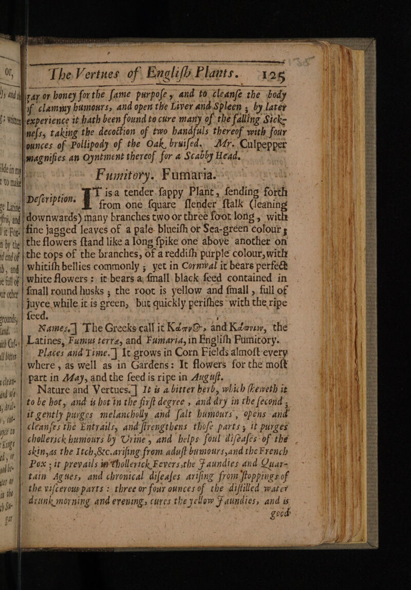 reheat, ee We ITE OT, Ss] a The Vertues of Englifh Plants. 128 yar or honey forthe fame purpofe, and to tleanfe the body bf clammy humours, and open the Liver andSpleen ; by later i Latne fri, abd it Fox: N by the d end of b, and e {ull of ut other oun, in. ne[s, taking the decottion of two handfuls thereof with four ounces of Pollipody of the Oak, bruifed.. Adr. Culpepper magnifies an Oyntment thereof for a Scabby Head, Fumitory. Fumaria. poe T isa tender. fappy Plant, fending forth Deferiptions F's om one {quare {lender {talk (ieaning | downwards) many branches two or three foot long, with ifine jagged leaves of a pale blueifh or Sea-green colour s | the flowers ftand like a long {pike one above another on ee tops of the branches, of areddifh purple colour, with | whitifh bellies commonly ; yet in Cornwal ir bears perfe&amp; white flowers : it bears a; fmall. black feed contained in {mall round husks ; the root is yellow and fmall ,. full of | juyce while. ic is green, but quickly perifhes- with the ripe feed. | 7 Names| The Greeks call it KaayO-, and Kary, the Places and Time. | It. grows in Corn Fields almoft every yileate ind Wf y Atl 1, i git 10 Kung et OF | in tHe i) SIF | part in AZay, and the feed is ripe in Auguft. Nature and Vertues. | I¢ ws a bitter herb, whi h theweth it to be hot, and is hot tn the firft degree , and dry in the fecond, it gently purges melancholly and falt humours, opens and cleanfes the Entrails, and firengthens thofe parts; it purges chollerick humours by Urine, and helps foul difeafes: of the skin,as the Itch,8cc.arifing from aduft bumours,and the French Pox ; it prevails wthollerick Fevers the F aundtes and Quar- tain Agues, and chronical difeafes arifing from floppings of the vifcerous parts : three or four ounces of the diftilled water diunk morning and evening, cures the yellow F aunates, and is good