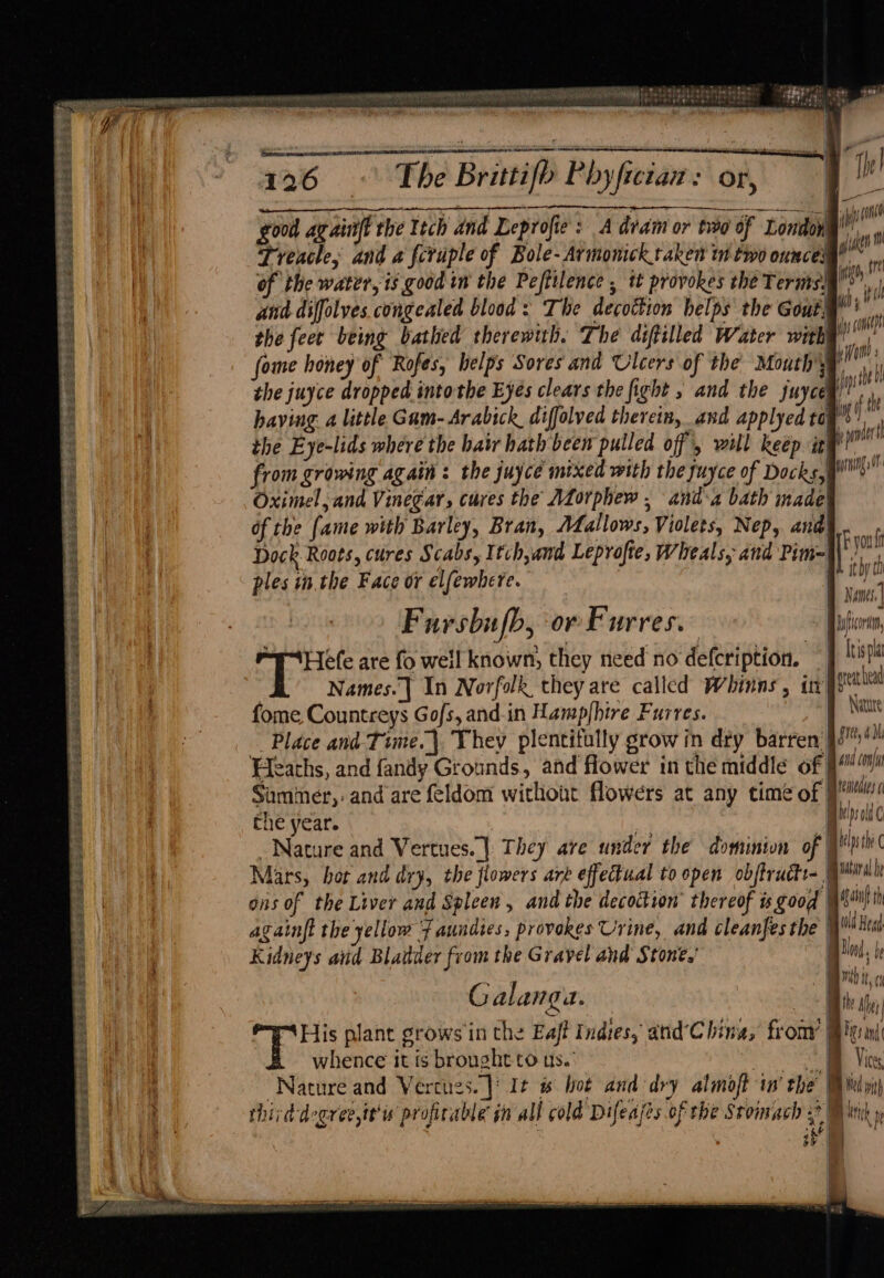 > premgiel sceMEeN RS TMA RL aR waka 7, 2 OG yee Sa anata i TG hiaivehs 1 itd ToRW SN VN SORA tea TIRE Fs Fe oT Fa eerie ae aba. Jul od ; ares PL ROR TNT PT Beg OR ar a em RN RE SRN arm mre or the feer being bathed therewith. The diftilled Water with i) ani fome honey of Rofes, helps Sores and Ulcers of the Mouth’y pin the juyce dropped intothe Eyes clears the fight ; and the juyceq’’ . having. a little Gam-Arabick diffolved therein, and applyed to i he the Eye-lids where the hair hath been pulled off, will keep it} i i from growing again : the juyce mixed with the yuyce of Docks, tng Oximel,and Vinegar, cures the Mforphew , anda bath made! of the fame with Barley, Bran, AZallows, Violets, Nep, and! Dock Roots, cures Scabs, Itch,and Leprofte, Wheals, and Pim= ples in. the Face or elfewhere. ! ; | wkie me NAN Fursbufb, or Furres. Patio, “E-Hefe are fo well known; they need no defcription. — Iisa Names.| In Norfolk they are called Whinns, i seat ea 4 fome Countreys Gofs, and-in Hampjhire Furves. Nature ¢ x Place and Time.| They plentifully grow in diy barren 93 ** t | 426 © The Brittifb Phyfictaz: or Be! Bos an % ee MT ST CRAG RTT PRI TEL MOEN gma 3 good ag ainft the Itch and Leprofie : A dvatm or tio of Londoy i‘ a | Treacle, and a fcruple of Bole- Armonick taken tn two ounceig® ” 3 | of ‘the water, is good in the Pefttlence , tt provokes the Terms! ia | A ; and diffolves. congealed blood: The decoction helps the Gout) i | c Fi H SREEEES EA Rae ees eel eet Sa PS Sri GES PRISE S AS yon ft Ly phy DI bull Heaths, and fandy Grounds, and flower in the middle of peeenin Sammer,. and are feldom without flowers at any time of ee ( che year. ee sie psold Nature and Vertues.| They ave under the dominion of | Kelp the C Mars, hor and dry, the flowers arb effectual to open objtructs-_ iba ons of the Liver aud Spleen, and the decoction’ thereof isgood \gXiiifih againft the yellow 7 aundies, provokes Urine, and cleanfes the ld Head Kidneys and Blatder from the Gravel and Stone,’ | by be ee) tt, cy ———— Ea se eres Re ese Lae SS fl Galanga. — Bie, | See nlant grows in the Eajff Indies, and’China, from’ | Bie an bi Ae ek SESS = Vices Nature and Vercues. |) It w bot and dry almoft in’ the! Way third deocree,tt'is profitable jn all cold Difeaes of the Stomach ? WM hiik » i ae ) See as es ee oN