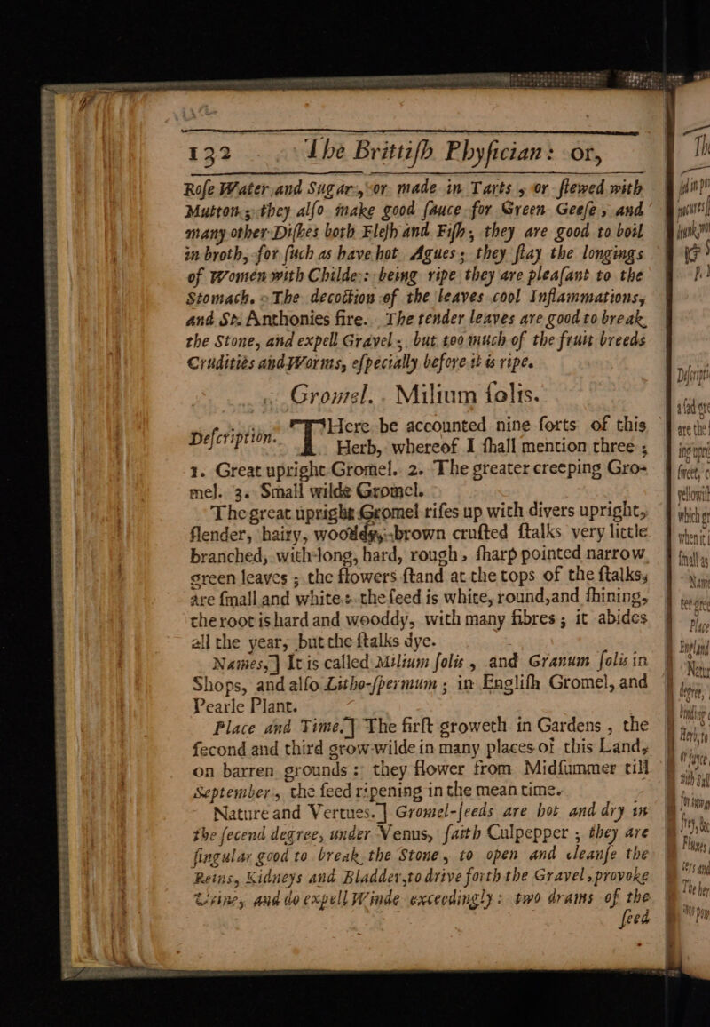 ebetdeiay Chin kent4 - beG BEBITS ~ pAatestet Spat Oh SR POUR SERPs Pak a4 2 » <2 eee oe ree te Rofe Water and Sugar-,or made in Tarts 5 or flewed with many other Difkes both Fleh and Fifh, they are good to boi an broth, for [uch as have hot Agues; they flay the longings of Women with Childe:: being ripe they are pleafant to the Stomach. oThe decoction of the leaves cool Inflammations, and St. Anthonies fire. The tender leaves are good to break, the Stone, and expell Gravel ;. but too much of the fruit breeds Cruditiés and Worms, efpecially before it is ripe. Growel. . Milium folis. Here be accounted nine forts of this Herb, whereof I fhall mention three ; 3. Great upright Gromel. 2. The greater creeping Gro- mel. 3. Small wilde Gromel. Thegreat upright Gromel rifes up with divers upright, flender, hairy, wooddy,:brown crufted ftalks very little branched, with-long, hard, rough, fharp pointed narrow green leaves ; the flowers {tand at the tops of the ftalksy are fmall and whites thefeed is white, round,and fhining, therootishard and wooddy, with many fibres ; it abides all the year, but che ftalks dye. Namies,] Icis called Milium folis, and Granum folis in Shops, and alfo Litho-/permum ; in Englifh Gromel, and Pearle Plant. Place and Time.) The firft groweth in Gardens , the fecond and third grow-wilde in many places of this Land, on barren grounds: they flower from Midfummer till September, the feed ripening in the mean time. | Nature and Vertues. | Gromel-[eeds are hot and dry im the fecend degree, under Venus, faith Culpepper , they are fingular good to break, the Stone, to open and cleanfe the Reins, Kidneys and Bladder,todrive forth the Gravel ,provore Urine, and do expell Winde exceedingly: two drams of the feed Defcription. Thal vsats Dilip 4 4 afad or ino nny Ue vel, Pe it 7 Op) meet, °C valli Tatith PEHOW wh nh WHEN tt | fg Mat 48 Vj Auge Name tet ore