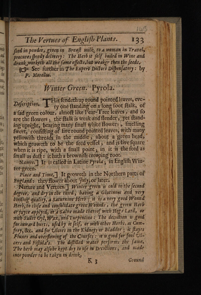 procures speedy delivery: The Herbit felf boiled in Wine and drunk worketh all the (ame effects,but weaker then the feeds. ogg See’ further in The Expert Doctors Difpenfatory : by ’ Ps Morellus. : | Winter Green.” Pyrola. DOS Ss His fendeth up round pointed leaves, eve- Daleripsion, T ty oné ftandia® of OK foot ftalk, of a fad green colour, almoft like’ Peat-Tree leaves “and fo are the flowers ;_ the ftalk is weak aid flender’,’'yet ftand- in? upright, bearing mary fmall white flowers ,. {melling fweet,” confifting of five round pointed leaves, with many yellowifh re in«the ‘middle’;° about ‘a green head, which groweth to be°the feed veffel 5‘ and is five {quare when it is ripe, with a {mall point; in it is the feed as fnall'as duft: ichatha brownith creeping root. Names: | Tt is calledin Latine Pyrola, in Englith Win- ter reen. : : | Place and Time, | It groweth in the Northern parts of England: ‘they flower about uly} or later. Nature and Verrues.] Winter ‘creen ‘is cold'in the fecond deorees and dry in the third, having a Glutinons and. very binding quality, 2 Saturnine Herb’: it 13 a very good Wound Herb;to clofe and confolidate green Wotlnis , the green Herb or'fuyce applyed;‘ar'a'Salve made thereof with Hogs Lard, ov with Sullet Oyl, Waxs and Turpentine : The decodiion is good frey, Sec. ‘and for Ulcers th the Kidneys or Bladder ; 1 flayes Flaxes and overflowing of the Courfes :- itis good for foul Ul- cers and Fiftila’s. The diftilled’ water performs the faine, The herb may alfobe kept. dry to ufe m Decoltions , and inade RK. 3 Ground