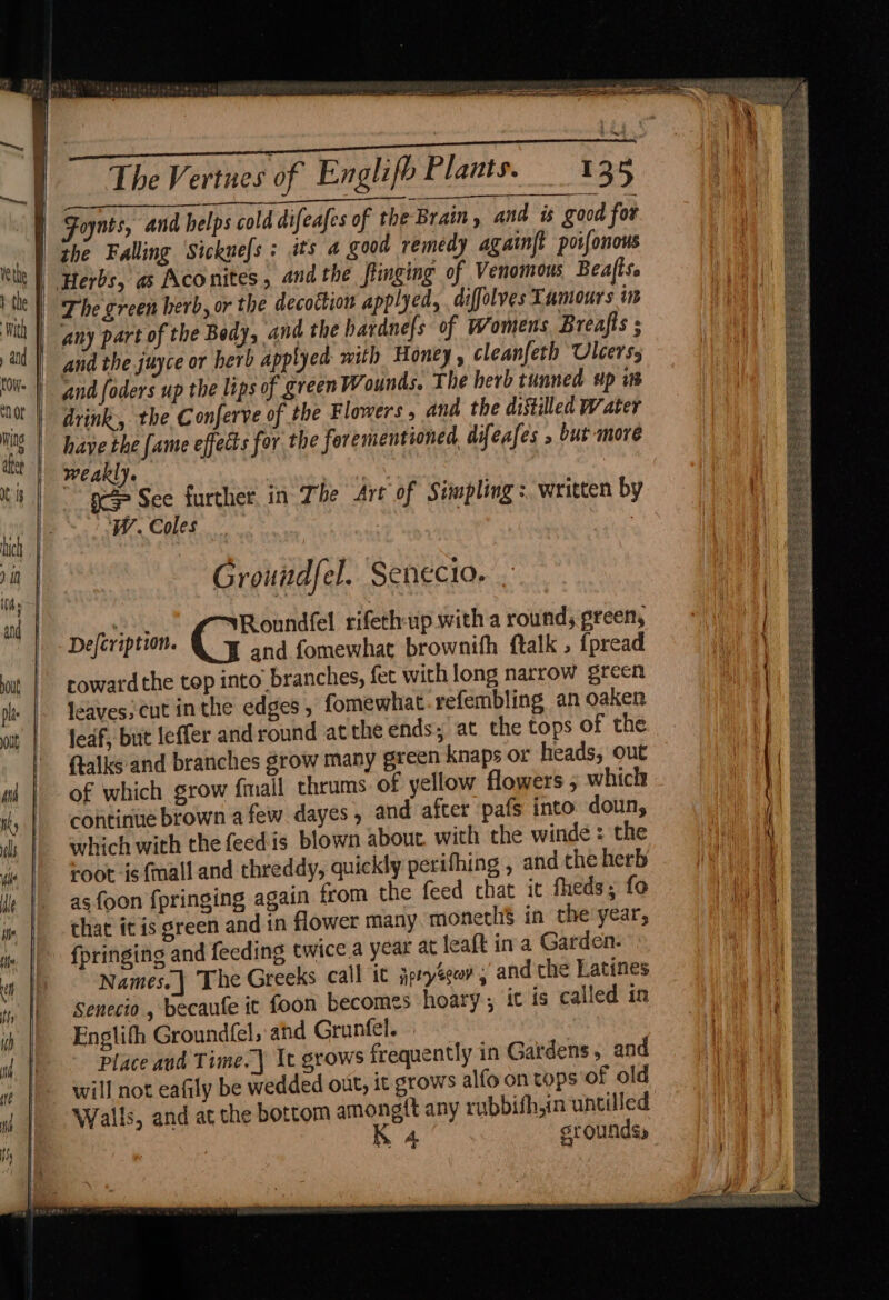 The Vertnes of Englifh Plants. 135 Foynts, and helps cold difeafes of the Brain, and is good for the Falling Sicknefs : its @ good remedy againft potfonows and the pinging of Venomous Beaflse decoction applyed, , diffolves Lumours in any part of the Bedy, and the hardne{s of Womens Breafts ; and the juyce or herb applyed mith Honey , cleanfeth Ulcers, and foders up the lips of green Wounds. The herb tunned sp i drink, the Conferve of the Flowers , and the distilled Water have the fame effects for the forementioned difeafes » but more weakly. | gc See further. in The Art of Siimpling :. written by W. Coles | Grouidfel. Senecio. he rRoundfel rifethup with a round, green, oN Aight and fomewhat prownith {talk ; Frread rowardthe top into’ branches, fet with long narrow green leaves. cut inthe edges, fomewhat.refembling an oaken ledf, but leffer andround atthe ends; at the tops of the (talks and branches grow many green knaps or heads, out of which grow fmall thrums of yellow flowers 5 which continue brown afew dayes, and after pafs into doun, which with the feedis blown about. with the winde : the oot ig {mall and threddy, quickly perifhing , and the herb as foon fringing again from the feed that it fheds; fo chat it is green and in flower many moneth$ in the'year, {pringing and feeding twice. year at leaft ina Garden: Names.| The Greeks call it jpryeoor 5 and the Latines Senecio , becaufe it foon becomes hoary, it is called in Englith Ground(fel, and Grunfel. Place and Time.) It grows frequently in Gardens, and will not eafily be wedded out, it grows alfo on tops ‘of old Walls, and at the bottom amongft any rubbifhin untilled | K 4 sroundss