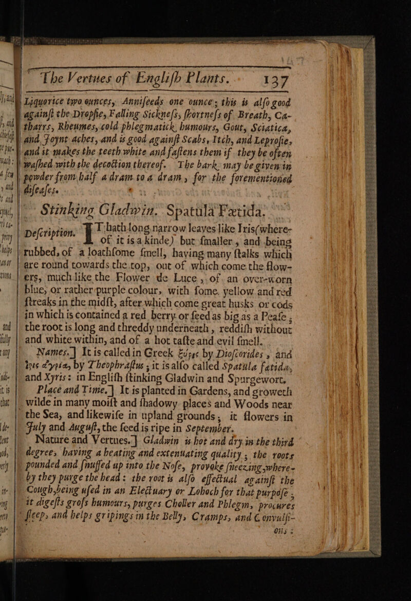 ep hybetglotgh dee againft the Drophe, Falling Sickne/s, (Lortnefs of Breath, Ca- tharrs, Rheumes,.cold phlegmatick, humours, Gout, Sciatica, wafhed with the decottion thereof. The bark. may be given in Stinking Gladwin, Spatula Fetida: T:hathtong,narrow leayes like Iris(where- of itisakinde) butfmaller, and being rubbed, of a loathfome f{mell, haying many ftalks which Defcription. ers, muchiike the Flower de Luce ,.of. an over-worn blue, or ratherpurple colour, with fome. yellow and red the root is long and threddy underneath , reddifh without and white within, and of a hot tafte and.evil {mell. Names.] Itiscalledin Greek £u'pes by Diofcorides » and tees ct'ypéa, by Lheophraftus ; it is alfo called Spatula fatida, and Xyris: in Englith f{tinking Gladwin and Spurgewort. Place and Time. | It is planted in Gardens, and groweth Fuly and Auguft, the feed is ripe in September. Nature and Vertues. } Gladwin is hot and dry.in the third degrees having a heating and extenuating quality ; the roots pounded and finuffed up into the Nofe, provake fncezing where- by they purge the head: the root is alfo effectual againft the Cough being ufed in an Eleduary or Lohoch for that purpafe ; it digefts grofs humours, purges Choller and Phlegm, procures OHS ¢ ee ee a