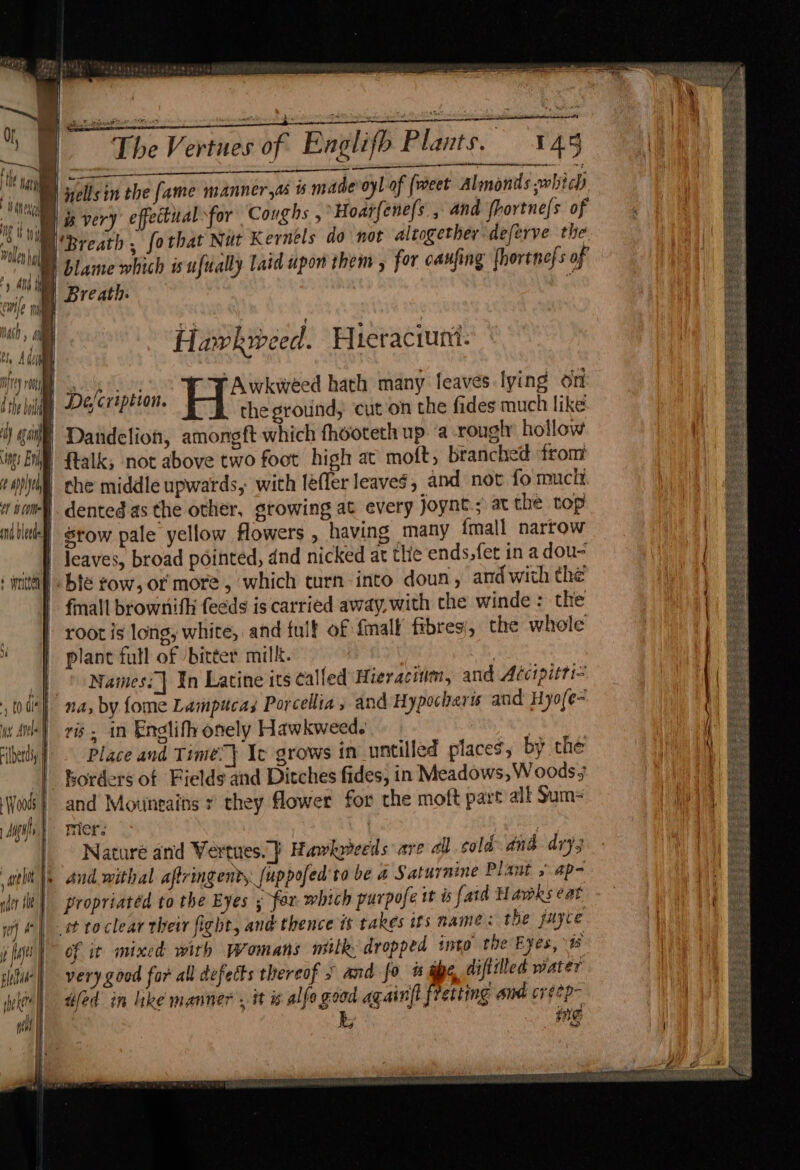 . i tn mole bl intrey Ant MH ICY YG yt) ony ft spl ind bleeds | ods a SE = aay of Englifh Plants. 45 ow Breath: Havkweed. Hicraciuni. yy Laver Awkweed hath many leaves lying on Be RRR: the ground, ‘cut on the fides much like Dandelion, amongft which fhooteth up ‘a rough hollow ftalk, not above two foot high at moft, branched from che middle upwards, with léfler leaves, and not fo much dented as the other, growing at every joynt.; at the top srow pale yellow Howers , having many {mall narrow leaves, broad pointed, dnd nicked at tlie ends,fet in a dou- fall brownith feeds is carried away, with the winde : the root is long, white, and fulf of {mall fibres), the whole plant full of bitter milk. | Names:] In Latine its called Hieracium, and Adcipitti= ris . in Englifh onely Hawkweed. . Place and Time. } It grows in untilled places, by the torders of Fields and Ditches fides, in Meadows, Woods 3 and Mountains y they flower for the moft part all Sum- mer: : , Naturé and Vertues.} Hawkpieeds are all cold and drys and withal aftringent, {uppofed'ta be a Saturnine Plants ap- propriatéd to the Eyes ; fax. which purpofe it i fatd H Awks eat of it mixed with Womans milk, dropped into tie Eyes, \% very good for all defects thereof 7 and fo % abe diftilled water dled in like manner, it is alfo good againft fretting and cyeep- ine Bed