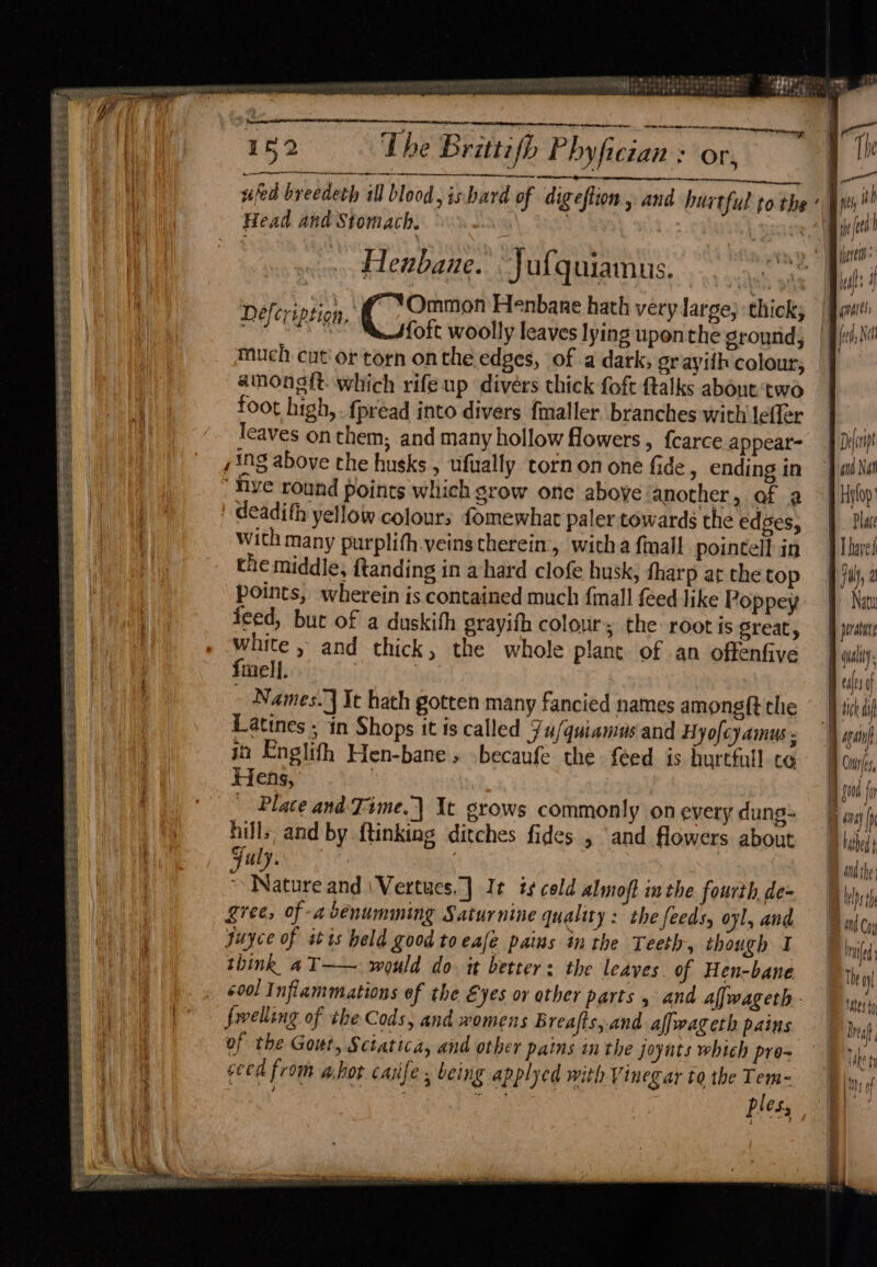 SS Ses ou8 Sei. eRe seesee gecees 2 5 eer oar Re SS SS Ris fils SS See es 5 ee ae ee pS SPEARS SE MG kes SCRE SE aE ete i ee es ate ; The Brittifh Phyficzan : or, ee ee ibd byebderh al blood, ishard of digeftion , and hurtful to the Head and Stomach. : Henbane. Jufquiamus. neferipioy. Br eaiik Henbane hath very large, thick; he aE {oft woolly leaves lying upon the ground, Much cut or torn on the edges, of a dark; grayith colour; amongf{t. which rife up divers thick foft ftalks about ‘two foot high, . fpread into divers fmaller. branches with leffer leaves on them, and many hollow flowers, {carce appear- , ing above che husks , ufually torn on one fide, ending in ‘Hye round points which srow one above another, af a | deadifh yellow colours fomewhar paler towards the edges, With many purplith veinstherein, witha final pointell in the middle, ftanding in a hard clofe husk, fharp at the top points, wherein is contained much {mall feed like Poppey feed, but of a duskith grayith colour; the root is Sreaty white , and thick, the whole plane of an offenfive {mell. | | Names. ] It hath gotten many fancied names amongft the Latines , in Shops tt is called Ju/quiamas and Hyofcyainus ; in Englifh Hen-bane, -becaufe the feed is hurtfull to Hehs, | Place and Time.) It grows commonly on every dung- hills, and by ftinking ditches fides , ‘and flowers about Fuly. : Nature and \Vertues.] It ty cold almoft ithe fourth, de= gree, of -abenumming Saturnine quality: the feeds, oyl, and Juyce of sis held good toeale pains in the Teeth, though I think aT—~ would do. it betters the leaves. of Hen-bane 6ool Inflammations of the Eyes or other parts 5 and alfwageth.. fovelling of the Cods, and womens Breafts, and affwageth pains of the Gout, Sciatica, and other pains in the joynts which pro- seed from abot cafe , being applyed with Vinegar to the Tem- ples, ~ = SS = rae <b << —. i 7 = = => =< 7 perature | quality. eaes af Wick dif Banh | Cours, | id fr , | ane) fh Bathe I dvd the | lel th BM Coy be The ay } oe cy >= =e = <—s = — —-=+ —>