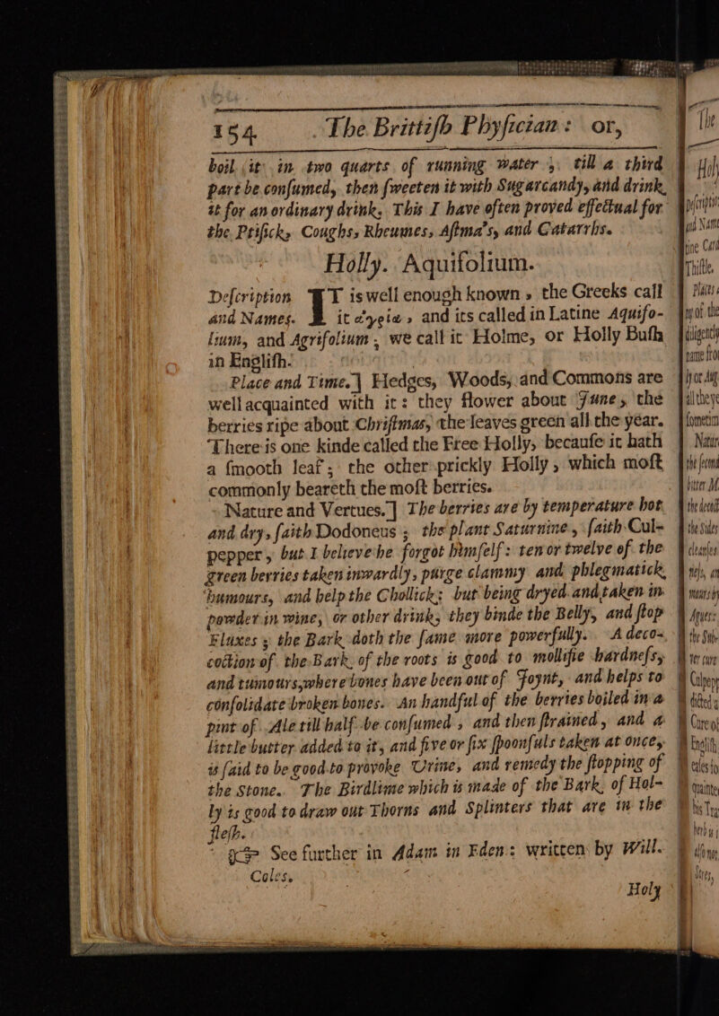 PELE SUSE SES TIES ae ee Se SES Bie SPSS baa ds Sage Th A a ees reer, eee ee Se LECT REPRE SEES SEATS SE SS RE Rr eS ee eee EC SP EE es Ee ee SSS SS SRS ie ES BASRA ESS SS ARE BEES ES ER (Seen &amp; &amp; CE ad 154 ~The Brittifb Phyfician: or, | Re Re el boil, (it'.in. two quarts of running water, till a third the Prifick, Coughs, Rheumes, Aftma’s, and Gatarrhs. Holly. Aquifolium. defcription ‘fT iswell enough known » the Greeks call and Names. it yeie » and ics called inLatine Aquifo- lium, and Agrifolium , we call it Holme, or Holly Buf in Englith. , | Place and Time. | Hedges, Woods,.and Commons are wellacquainted with it: they flower about une, the berries ripe about Chriftmas, the leaves green all the yéar. There:is one kinde called the Free Holly, becaufe it hath a fmooth leaf; the other-prickly Holly , which moft commonly beareth the moft berries. Nature and Vertues.] The berries ave by temperature hot and dry, faith Dodoneus ; the plant Saturnine , faith Cul- peppery but. I believethe forgot him/elf: ten or twelve of the powderin wine, or other drink; they binde the Belly, and ftop codion of the Bark. of the roots is good to mollifte hardnefs, and tumours,where bones have been out of Foynt, and helps to confolidate broken bones. An handful of the berries boiled ina pint of Ale rill balf be confumed , and then flrained, and a little buster added to it, and five or fix fpoonfuls taken at once, is (aid to be good-to provoke Urine, and remedy the ftopping of the stone. The Birdlime which is made of the Bark, of Hol- ly is good todraw out Thorns and Splinters that are i the fle(h. ' ‘g@> See further in Adam in Fden.: written: by Will. Coles wise 4 | Holy | tigen I rane to 4 ij or Ai Halthey ¥ {ometi 1 Natur the fe bitter the decal the Sides cleanles nels, at mons | Ayes: Ver cure B Calpe B iGed § Cure B Lisl BD cales to