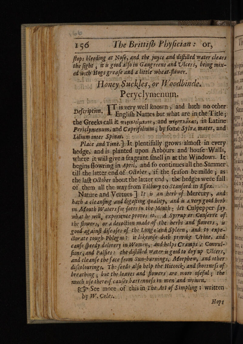 — 2 - © Bo: 14 debs bik ees 26 | sti eae 156 The Brittifb Phyfician: or, flops bleeding at Nofe, and. the juyce and diflilled water clears the fight ; i is good alfoin Gangreens and Ulcers, being mix | ed with Hogs greafe and a little wheat-flower. cd -. Honey,Suckles, or Woodbinde. _. Peryclymenum. ap ite 304 ee ee site Tuisvery well known and. bath no other ath ates Englifh Names but what are injche/Title ; the Greeks call it wepinavpevory: and avoltronass 1m Latine | Periclymenums and Caprifolidm ; by fome Sylve.mater, and: | Liliuminter Spas. >: : yrigwobodsi id su Place and Timée.}; It, plentifully: grows:almoft:in every hedge, and is: planted upon. Arbours and’ houfe:Walls, where it wilhgive'a fragrant {mellin: atthe Windows. Ic begins flowring in April, and fo continuesall che:Summer:, 9 cill the latter end.of -Odober 5 if the feafon beanilde; as: 9,” the laft-odober about the latter end», the hedges wete full: 7 of them all the wayfrom Tilbury to Stanford:in Effex. | yey Nature and Vertues- | It) ansherb-of. Mercury, and: he hath a-cleanfmg and digefting quality and is. avery gaodherb: | bn zn. Mouth Waters for fores iw. the Mouth; let- Culpepper: fay ue what he will, experience proves. thai A SPITMP: or:Ganferve of: | the flowers or a decoction madeof the\-berbs und flowers, is: ) pint | good-ag aint. difeafes.of the Lungeiand Spleen , and:tovexpe | | ékorate rough-Phlegm.: it likewife doth provoke Urine, and Brot: | cafe pecdy delivery in Womens; andshelps Cramps x: Convul- Bw. fons; and Palfies: thedifliled. waters good to dry up Ulcers, Basie and cleanfe the face from Sun-burnings, Mforphew, and other» Phen difcolourings. Thefeeds alfo help the Hiccock, and (hortne{s of | var breathing , but theteaves and flowers) are more ufeful ; ‘the. | sg much ufethereof caufesbarrennels im men and women, SP te aeSee more.of ‘chisin TheArt of Simpling + written.) in) by HW. Coleses:. iyi ds sao uli Hops -)) '| : pane Sera ER, ye ee oo es pe ee ee eS ee a eer. =: Mees pea eet Ete ese ee ree ee ES a RS