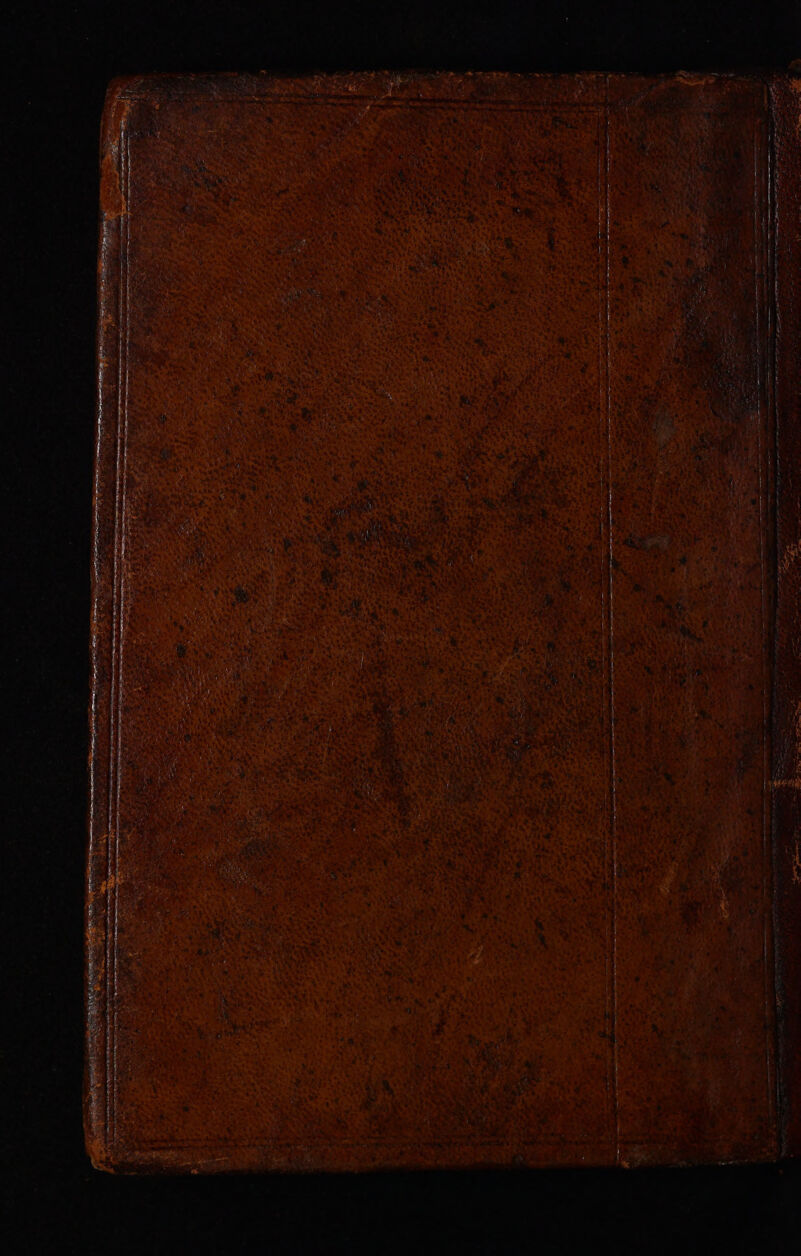 SE ee eS ene El Fe SOO «LN ee rates SS is ees : ; ; RISE se : aes = — $s — —- See etere Part ea hae aah gs = = r > 2 2 , ; - See Sacto Se wen eens eet ae ee ee en ae —~ a = aS — oo os i ies Se a apa Een apc SE Sagas a a on aa _ - a ’ ee “ P. ~ — ~ 4