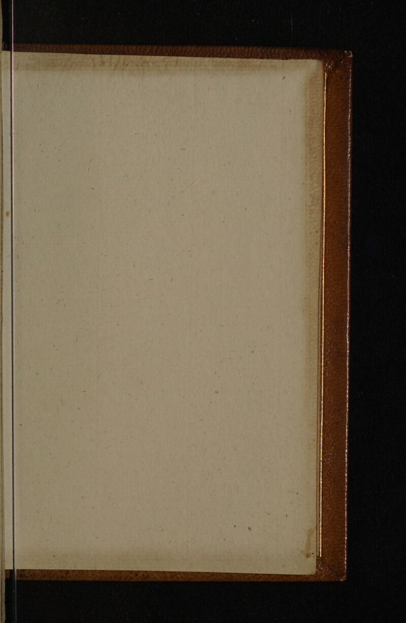 * TI Nie Nae i hen i Ar er i a ti ima ¢