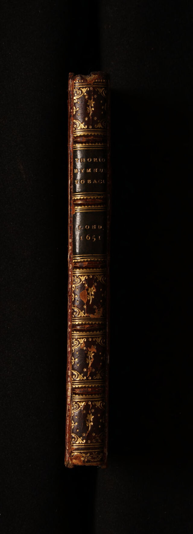 No text description is available for this image