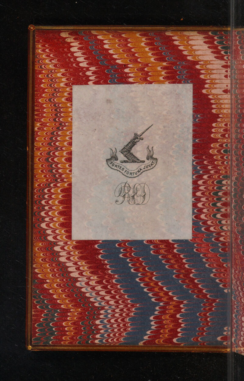 [40 «CE « P NS z i. s Lir e L E. «cC Lu (ES