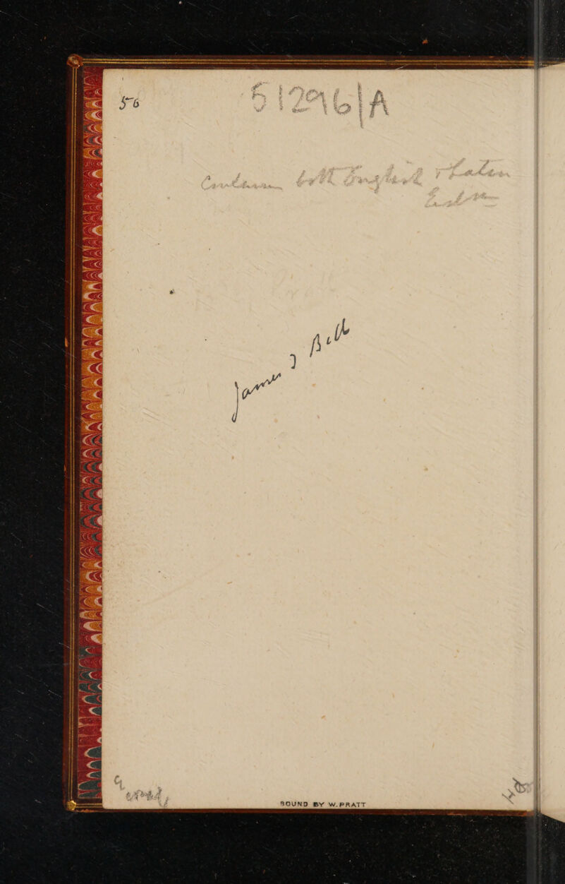 No text description is available for this image