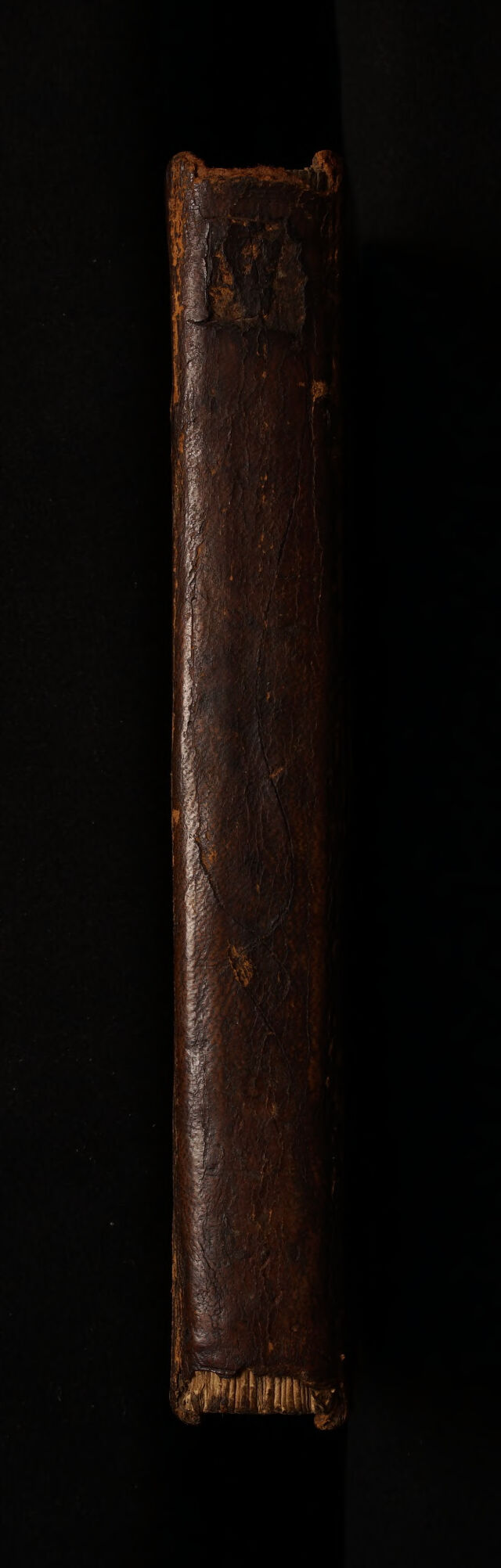 No text description is available for this image