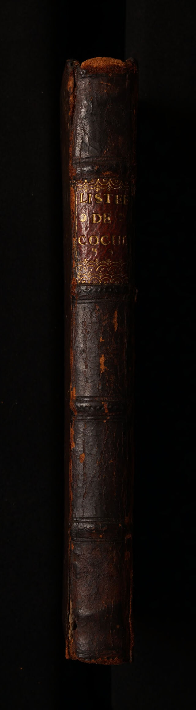digitised image 2