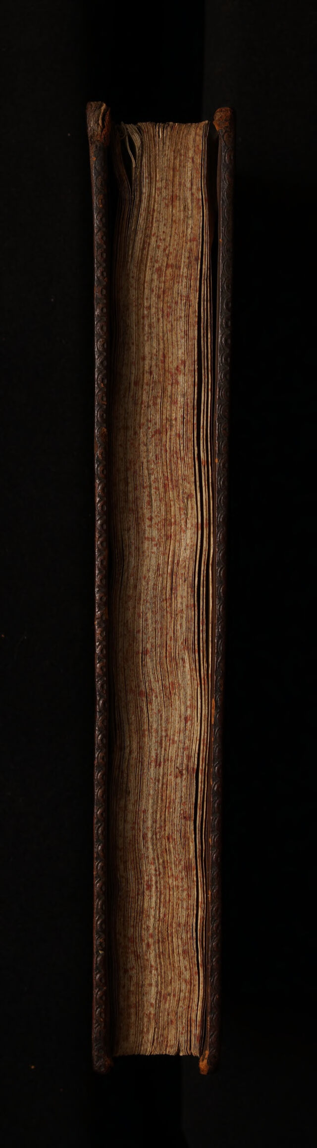 digitised image 3