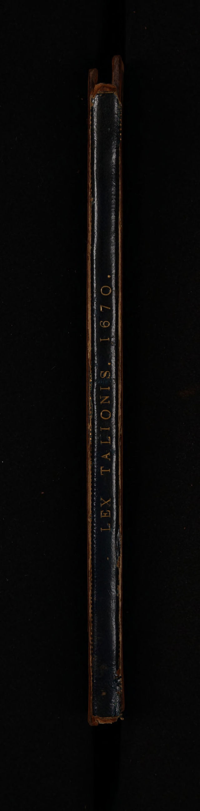 digitised image 2