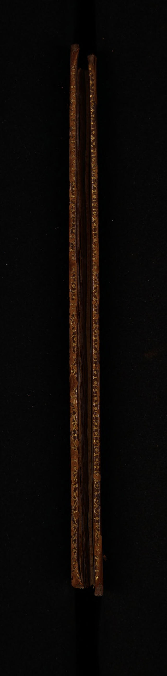 digitised image 3
