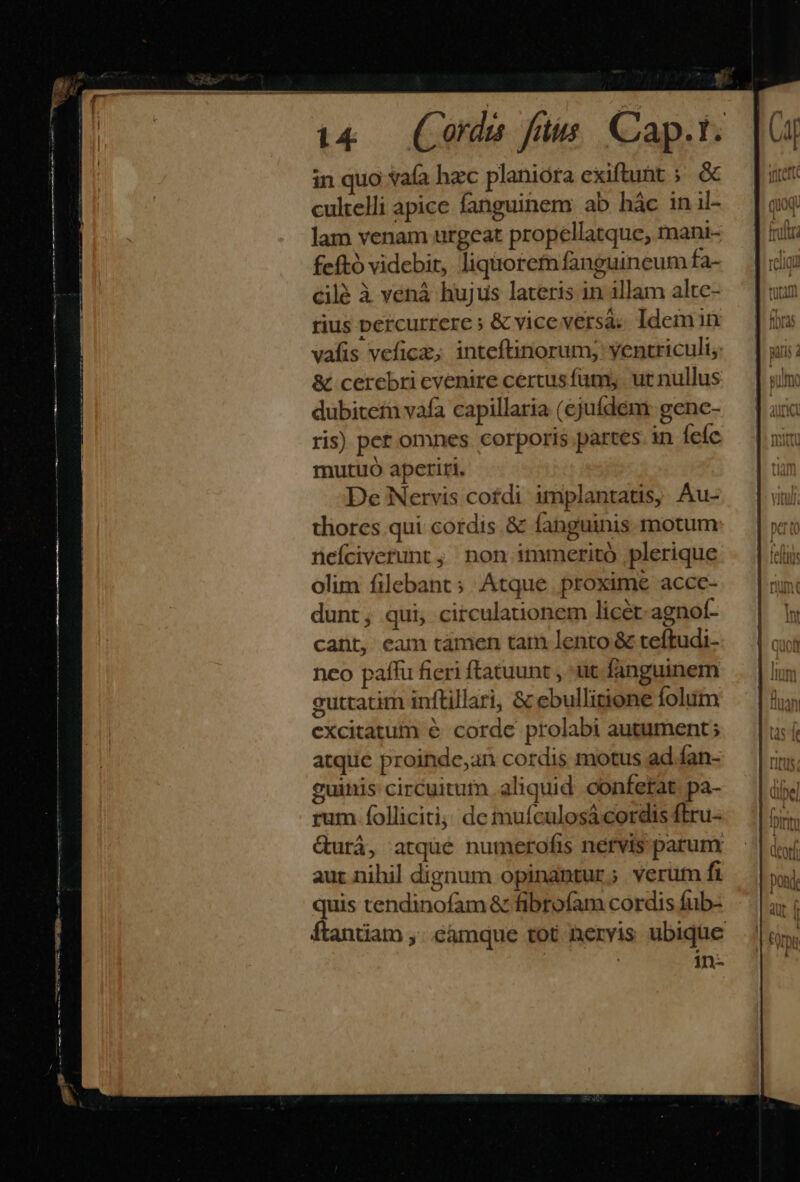 | ! | in quo vaía hac planióra exiftunt ;. &amp; cultelli apice fanguinem ab hác in il- lam venam urgeat propellatque, mani- feftó videbit, liquorem faneuineum fa- cilé à vená hujus lateris in illam altc- rius percurrere » &amp; vice versa. Idemin vafis vefice; inteftinorum; ventriculi; &amp; cerebrievenire certusfüam, urnullus dubitein vafa capillaria (ejufdém: genc- ris) pet omnes corporis partes. in Íeíc. € mutuo aperiri. De Nervis cordi implantatis, Au- thores qui cordis &amp; fanguinis motum nefciverunt ;. non immeritó plerique olim filebant; Atque proxime accc- dunt; qui, circulationem licét-agnot- cant, eam támen tam lento &amp; teftudi- neo paffu fieri ftatuunt , ut fanguinem eutratim inftillari, &amp; ebullitione folum excitatum e corde prolabi autument ; atque proindc,an cordis motus ad Ían- euinis circuitum aliquid conferat pa- rum folliciti; dc muículosá cordis ftru- &amp;urá, atqué numerofis nérvis parum aur nihil dignum opinantur; verum fi quis tendinofam &amp; fibrofam cordis fub- ftantiam ,;.càmque tot hervis ubique in-