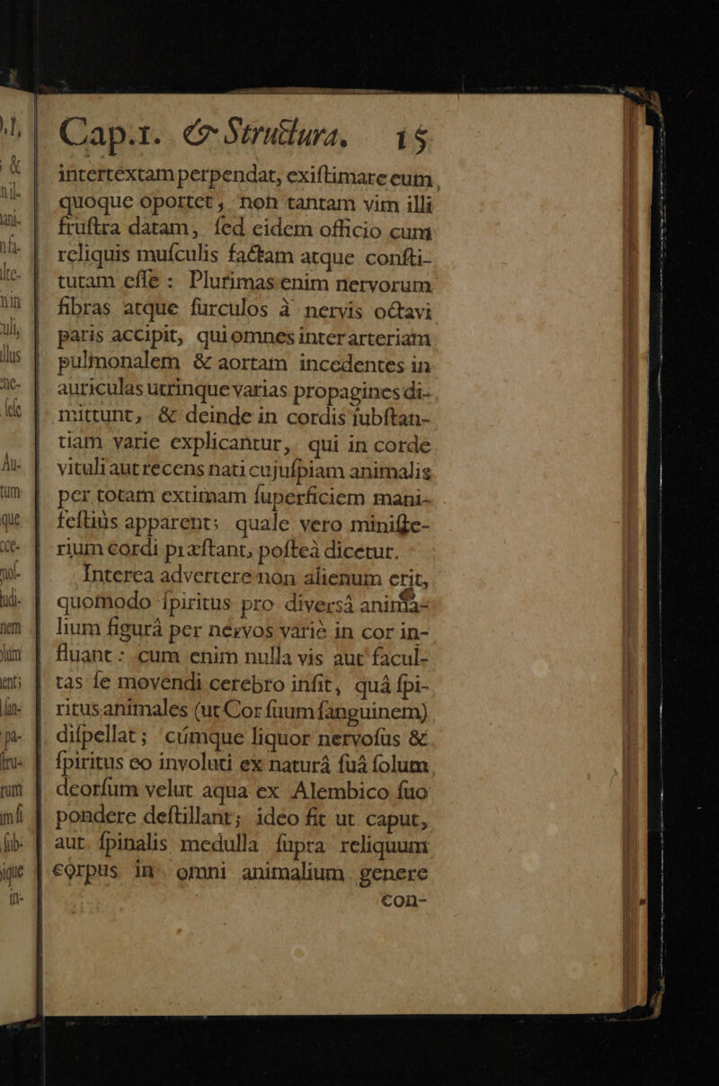 (n; |n- pe iru: ruft mfi Áib- gue il Cap.r. (zr Surdur. — d$ intertextam perpendat, exiftimare eum quoque oportet , hon tantam vim illi fruftra datam, íed eidem officio cum rcliquis muículis factam atque confti- tutam effe : Plurimas enim nervorum hbras atque furculos à nervis octavi paris accipit, quiomnes interarteriatm pulmonalem &amp; aortam incedentes in auriculas utrinque varias propagines di. mittunt, &amp; deinde in cordis tubftan- uam varie explicantur, qui in corde vituli aut recens nati cujufpiam animalis per totam extitmam fuperficiem mani- fefiius apparent: quale vero minifie- rium cordi pizftant, pofteà dicetur. Interea advertere non alienum crit, quofnodo 1piritus pro. diversá aninta- lium figurá per nezvos varié in cor in- tas Íe movendi cerebro infit, quá fpi- difpellat ; cumque liquor nervofus &amp; deorfum velut aqua ex Alembico fuo con-