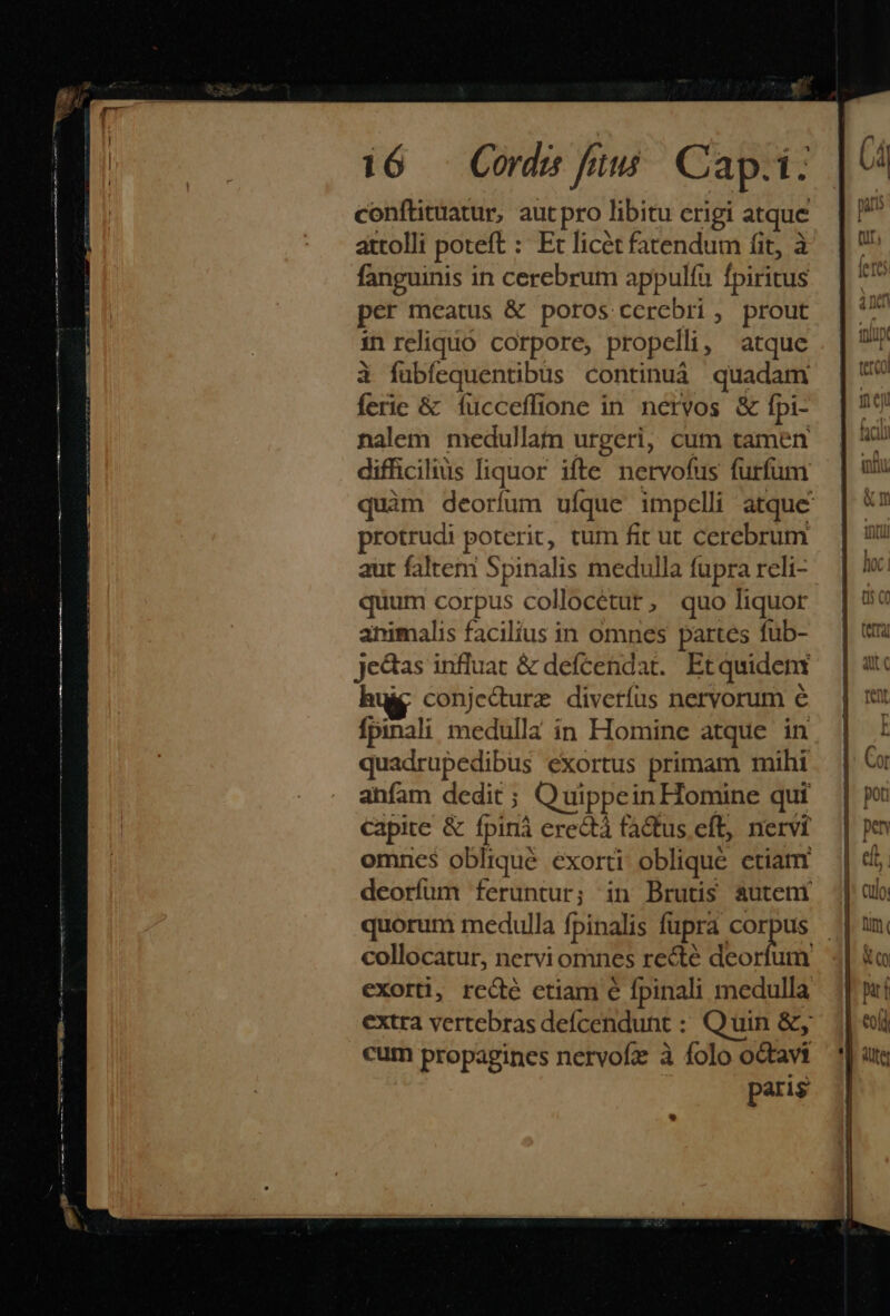 conftituatur, autpro libitu erigi atque attolli poteft : Et licet fatendum fit, à fanguinis in cerebrum appulfu fpiritus per meatus &amp; poros cerebri , prout in reliquo corpore, propelli , atque ài fubfequentibus continuà quadam ferie &amp; Ífucceffione in nervos &amp; Ipi- nalem medullatn urgeri, cum tamen difficilius liquor ifte netvofus furfum protrudi poterit, tum fit ut cerebrum aut faltem Spinalis medulla fupra reli- quum corpus collocétur, quo liquor animalis facilius in omnes partes fub- jedtas influat &amp; defcendat. Et quideni hu conjecturz divetíüs nervorum é fpinali medulla in Homine atque in quadrupedibus exortus primam mihi anfam dedit ; Q uippein Homine qui capite &amp; fpinà erectà factus. eft, nervi omncs obliqué exorti obliqué ctiam deorfum feruntur; in Brutis auteni quorum medulla fpinalis fupra. ann collocatur, nervi omnes recte deorfum exorti, recté ctiam € fpinali medulla extra vertebras defícendunt : Quin &amp;, cum propagines nervofz à folo octavi paris CATC