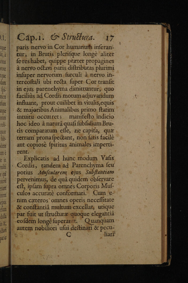 paris nervo in Cor humanuth inferan- cur, in Brutis plerifque longe aliter fe reshabet, quippe ptzter propagines à nervo octavi paris diftributas plurimi infuper nervorum. furculi à nervo ih- tercoftali ubi re&amp;ta. fuper. Cor tranfit in ejus parenchyma dimittuntur; quo faciliàs ad Cordis motumadjuvandum influant, prout cuilibet in vitulis,equis &amp; majeribus Animalibus primo ftatim intuitu occurret; — manifefto indicio hoc ideo à naturá quafi fübfidium Bru- ds comparatum efle, nc capita; qua terram prona fpe&amp;tant, non fatis facile aut copiose fpiritus animales iimperti- rent. | NS Explicatis ad hunc modum Vafis Cordis, tandem ad Parencliyma feu potius AMw/cularem, ejus Subflamtiam pervenimus, de quá quidem obfervare eft, ipfam füpra omnes Corporis Muf- culos accuraté conformari. €um e- nim cztcros' omnes operis neceffitate &amp; conftantià multum excellat; utique par fuit ut ftru&amp;urz quoque clegahtiá eofdem longéfuperarot.. Quanquam autem nobiliori ufui deftinari &amp; pecu- b C | hari