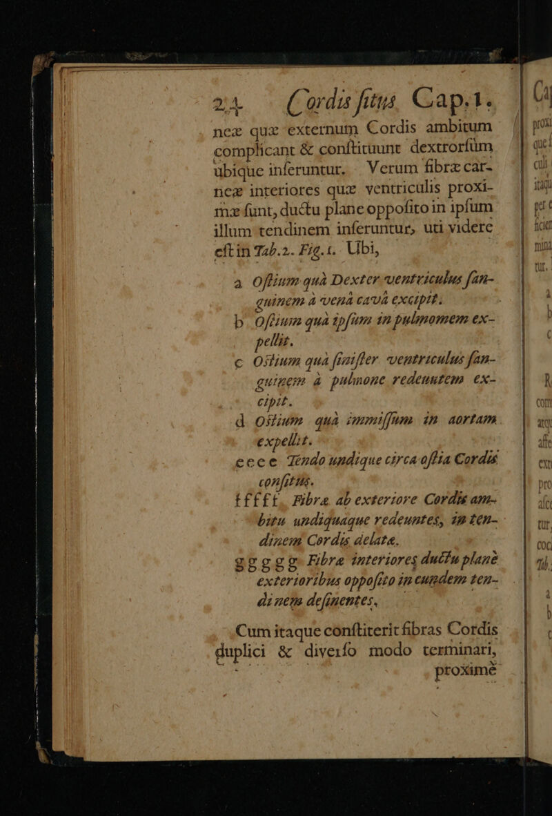 : z4 — Cordis fitus, Capt. 1 nez qui externum Cordis ambitum complicant &amp; conftituunt dextrorfum ubique inferuntur. Verum fibrzcar- | 94 nea interiores qua ventriculis proxi- mx funt, ductu plane oppofitoin ipfum illum tendinem inferuntur, uti videre eítin T25.2. Fig.t. Ubi, D mini i. P —————XXX ———— - 2T om a Offium quà Dexter ventviculus fan- ginem à vena CAUA CXCIpIE b. Offium qua ipfum 1n pulsmomem ex- petis. c Oflium qua fiatfler ventriculus fan- guinem à pulnone redeuutem ex- Cipit. ( d osjum qua immiffum. in aortam M expelLt. | 5 ecee Téndo undique circa afia Cordis ài con[ittis. ! F£f££. Bbra ab exteriore Cordis am- bitu. undiquaque redeuntes, 22 Zen- dinem Cordus delata, y: ggggg Fibre interiores ductu plane 7. extertoribus oppo[ito in cugdem ten- á dinem defmentes, ——— | T——————— €: Cum itaque confliterit fibras Cordis duplici &amp; diveiío modo terminari, : | proxime