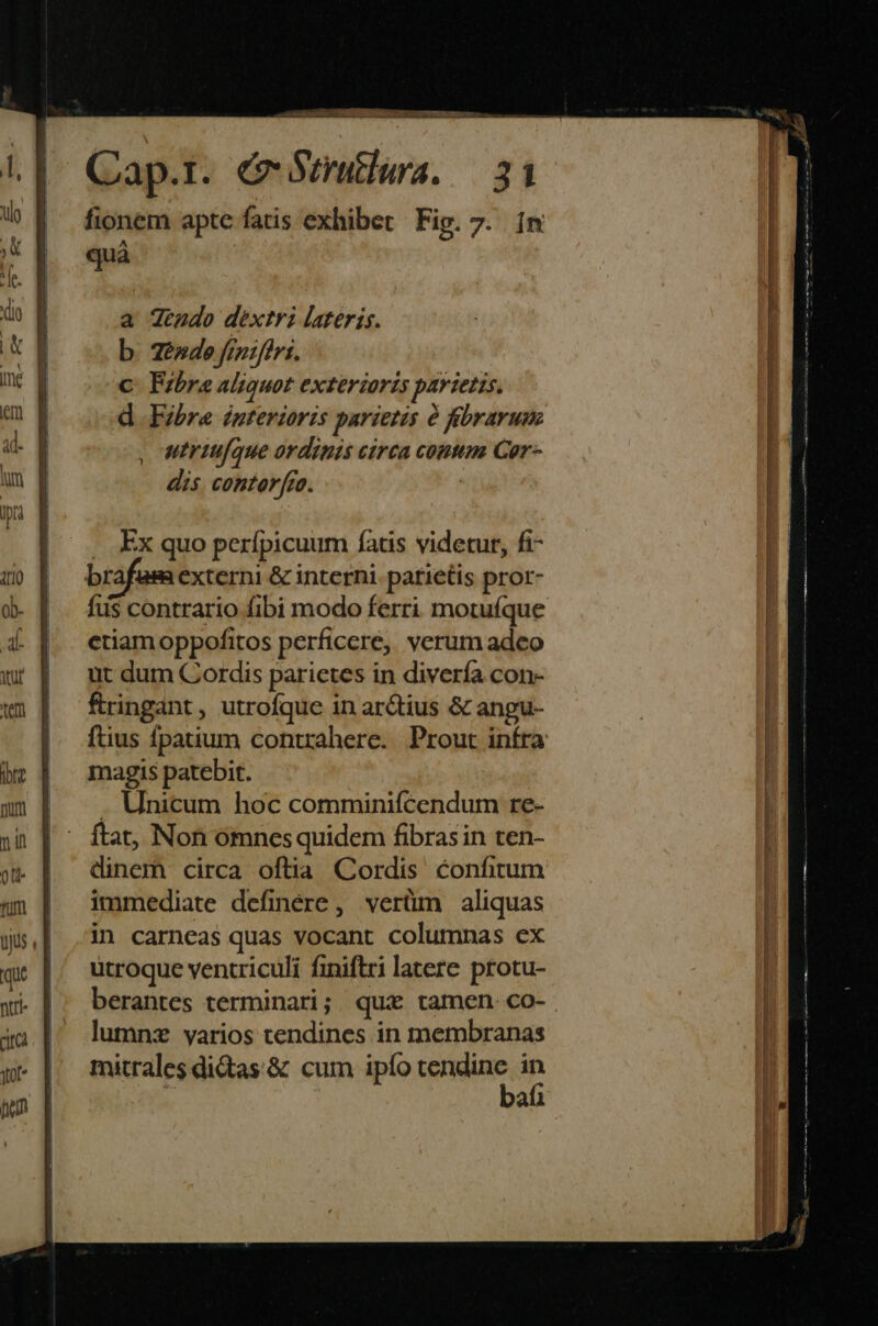 Cap.r. &amp; Neratlura. fionem apte fatis exhibet Fig. quà a Jeudo dextri lateris. b. 2ende finifiri. C Ezbra aliquot exterioris pavietzs. d Eibra interioris parietis ó fbrarum utriufque ordinis circa conim Cer- dis. contor[ro. ' ut dum Cordis parietes in diverfa con- fringant, utrofque in ar&amp;tius &amp; angu- ftius fpatium contrahere. Prout infra magis patebit. . Unicum hoc comminifcendum re- ftat, Non omnes quidem fibrasin ten- dinem circa oftia Cordis confitum immediate definere, verüm aliquas in carneas quas vocant columnas ex utroque ventriculi finiftri latere protu- berantes terminari; qui tamen. co- lumnz yarios tendines in membranas mitrales di&amp;as'&amp; cum ipfo Libor ii afi