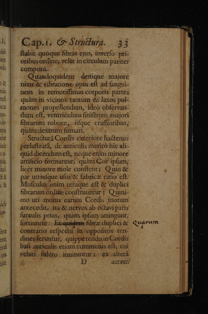 )&amp; tdis tell ttca Cap.i. &amp; Sun. 3 j ftabit quoque fibrás cjus, inverío pri- componi. Quandoquidem : denique. majore quàm in vicinos tantüm «&amp; laxos pul- mones propellendum, ideó obfervan- dum eft, ventriculum finiftrum. majori fibrarum robore, iique craffioribus; quimdextrum firmari. ^. Structurà Cordis exteriore hactenus perluftratà, de auriculis mericó hic ali- quid dicendum eft ne que enim minore artificio fran quàm Gor ipfum; licet minore mole conftent; Quin &amp; par utriufque ufus &amp; fabricz ratio eft. Mufculus enim utraque eft &amp; duplici fibrarum ordine conftruuntur 5 Quini- mo uti-motus earum Cordis. motum fureulis prius, quàm ipfum attingunt; contrario refpcótu in: oppofitos ten- dines feruntur, quippé tendoin Cordis bafi. auriculis etiam communis eft, cui veluti... fuláro . innituntur 5: exo alterá  T