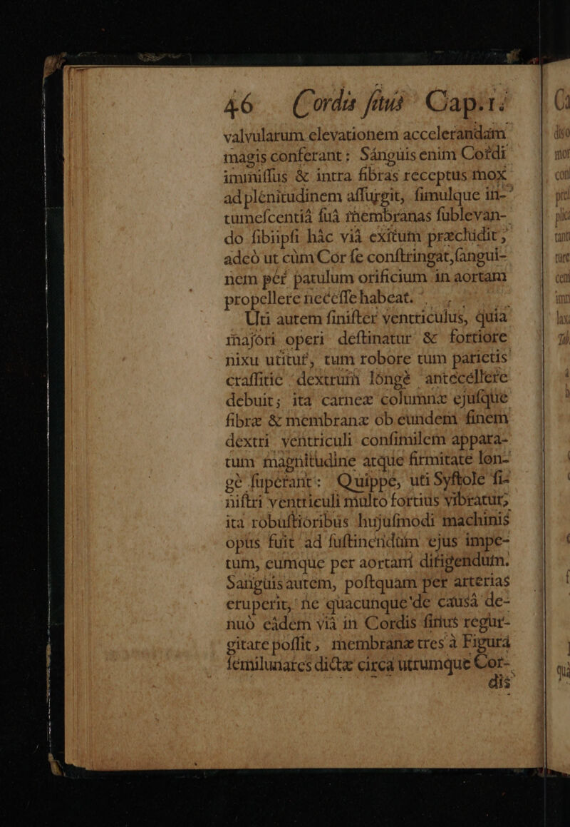 4&amp;6 — Coda fus ^ Cap.i: valvülarum elevationem accelerandam magis conferant; Sánguis enim Cotdi immiüffus &amp; intra fibras receptus mox ad plénitudinem affurgit, fimulque in- ' cumefcentià fuà thnembranas fuüblevan-. do fibipfi hác vii exitum przchüdit , adcó ut cüm Cor fe conftringat,(angui- ncm péf patulum orificium in aortan propellereneceffehabeat. , Uti aurem finifter ventriculus, quia rihajori operi. deftinatur &amp; fortiore nixu utituf, tum robore tum patictis craffitic ^dextrum lóngé anteéceéllere debuit; ita carnex columnz cjuíque fibre &amp; membrana ob eundem finem dextri ventriculi. confimilem appara- cum magnitudine arque firmitate len- gé füperant: Quippe, uti Syftole fi- niftri ventriculi multo fortius vibratur, ita robuftioribus hujufmodi machinis opus fuit ad fuftinendum ejus impe- tum, eumque per aortari ditigendutm. Sanguisautem, poftquàm per arterias eruperit' ie quacunque de causà de- nuo eàdem vià in Cordis firius regur- gitare poffit, membrana tres à Figurá fémilunarcs di&amp;tx circa utrumque -— lis