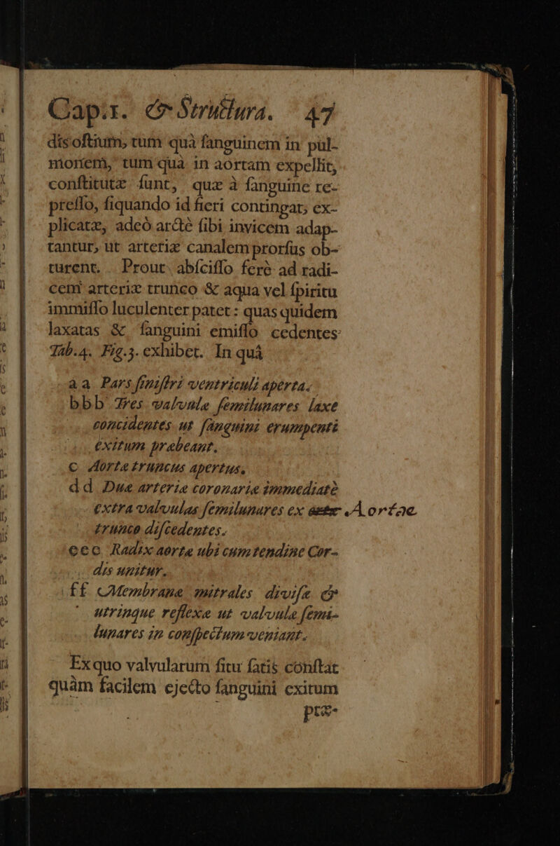 ! dis'oftium, tum quà fanguinem in pul- nionem, tum qua in aortam expellit, conftitutz. funt, quz à fanguine re- pretfo, fiquando id fieri contingat; ex- plicatz, adeó ardé fibi invicem adap- tantur, ut arteriz canalem prorfus ob- turcnt. . Prout. abíciffo fere ad radi- cent arteriz trunco &amp; aqua vel fpiritu immiffo luculenter patet: quas quidem laxatas &amp; Íanguini emiffo cedentes Tab.4. Fig.3. exhibet. In quà aa Pars fmtfiri ventriculi aperta. bbb es valvule fensilunares laxe concidentes ut. fanguini erumpenti exitum prabeant. c orte IY HACUS Apertus, dd Dwe arterze coronarie immediate trunco difcedentes. eec Rauzx aorte ubi cum tendine Cor- dis upitur. ff cCMembrane mitrales divifa. e utrinque reffexe ut. valoula femi- lupares ig confectum veniant. Exquo valvularum fitu fatis conftac ^ x x . e e quam facilem cjecto fanguini exitum pte