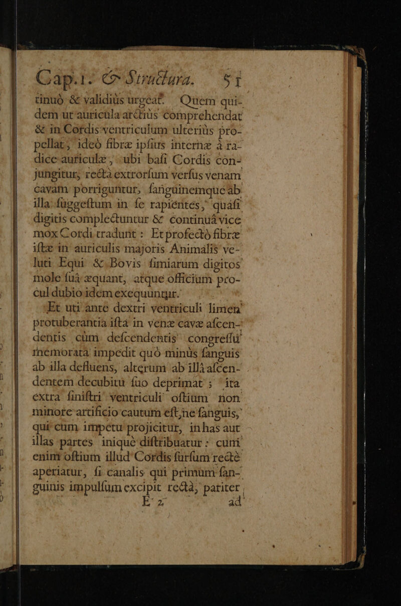 Cap. pr CL trütiura. SI tinuó &amp; validius urea — Quem qui- dem ut auricüla ar&amp;tiis comprehendat &amp; in Cordis ventriculum ulteriüs pro- pellat; ideó fibra ipfius interhz à ra- dice-auricule , ubi bafi Cordis con- jungitur, rectà extrorfum verfus venam cavam porriguntür, fanguinemque ab illa.fuggeftum in fe rapientes, quafi digitis comple&amp;untur &amp; continuávice mox Cordi tradunt : Etprofectó fibre ifte in auriculis majoris Animális vc- luti Equi &amp;.Bovis fimiarum digitos mole fuà quant, atque officium pro- cul dubio idém exequungir. | Et uti ante dextri ventriculi lirien! protuberantia iftá in venz cave aícen- dentis ,cüm. defcendends | congreffu inemorata impedit quó minüs fanguis ab 1lla defluens, alterum ab ill afcen- dentem decubitu fuo deprimat ; ita extra finiftri ventriculi oftium non minorc artificio cautum eft;ne fanguis; quicum impetu projicitur, inhas aut illas partés. inique diftribuatur : cuni? enint oftium illud Cordis furfum recté aperiatur, fi canalis qui primum fan- x ad