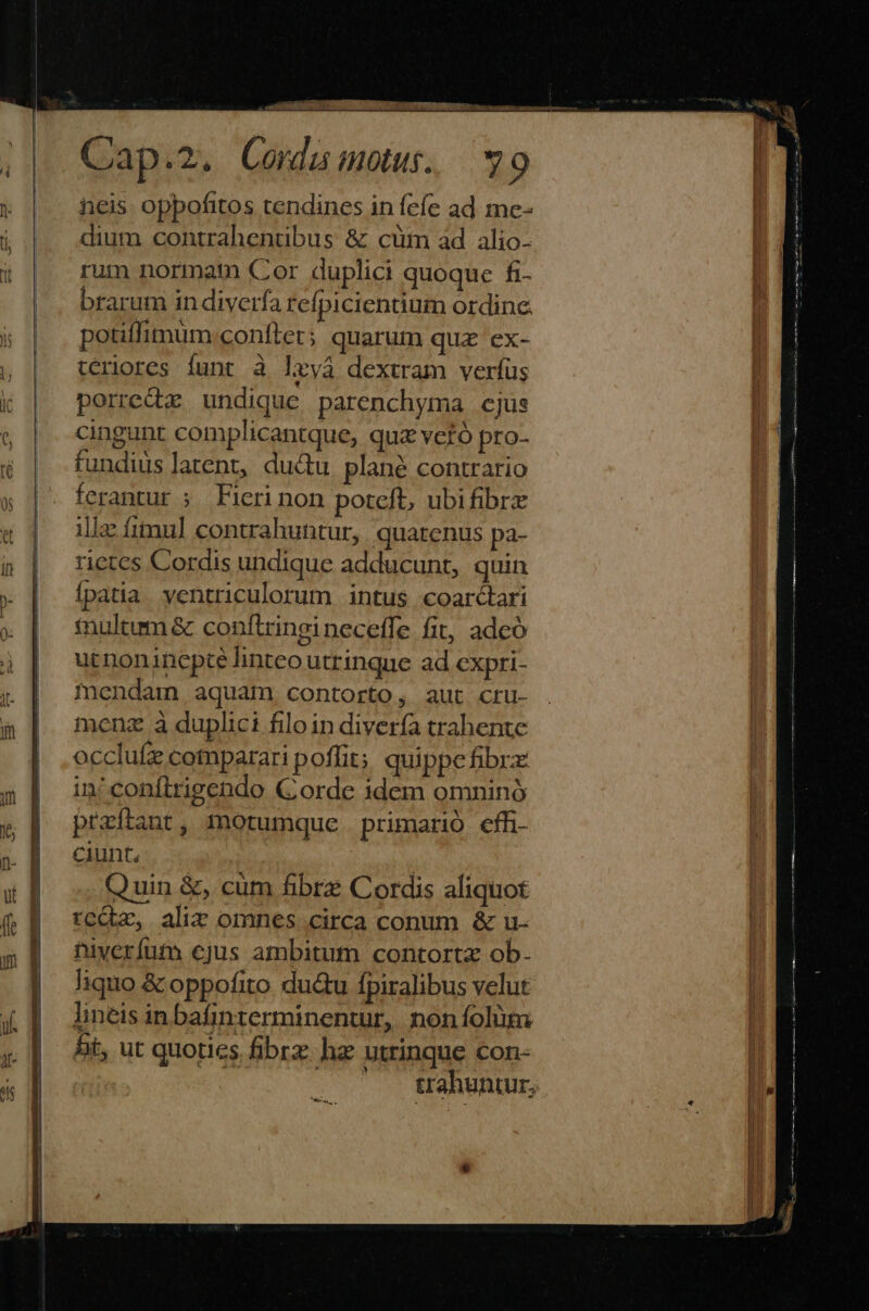 heis oppofitos tendines in fefe ad me- dium contrahentibus &amp; cüm ad alio- rum normam Cor duplici quoque n. brarum in diverfa refpicientium ordinc. potiffimum.coníter; quarum quz ex- ceriores funt à lryà dextram verfus porrecx undique parenchyma cjus cingunt complicantque, quz vetó pro- fundius latent, du&amp;u plané contrario ferantur ; Fieri non poteft, ubifibrz illa: fitnu] contrahuntur, quatenus pa- rictes Cordis undique adducunt, quin fpatia. ventriculorum intus coarcari fnultum &amp; conftringineceffe fit, adcó ut noninepte linteo utrinque ad expri- mendam aquam, contorto, aut cru- menz à duplici filoin divería trahente occlufz cotnparari poffit; quippc fibra: in'conflrigendo Corde idem omninó preftant, morumque primario effi- ciunt, | Quin &amp;, cum fibre Cordis aliquot rc&amp;z, alix omnes circa conum &amp; u- tiverfut ejus ambitum contortz ob. liquo &amp; oppofito du&amp;u fpiralibus velut lineis inbafinterminentur, non íolüm ht, ut quoties fibrz ha utrinque con- ' — trahuntur,