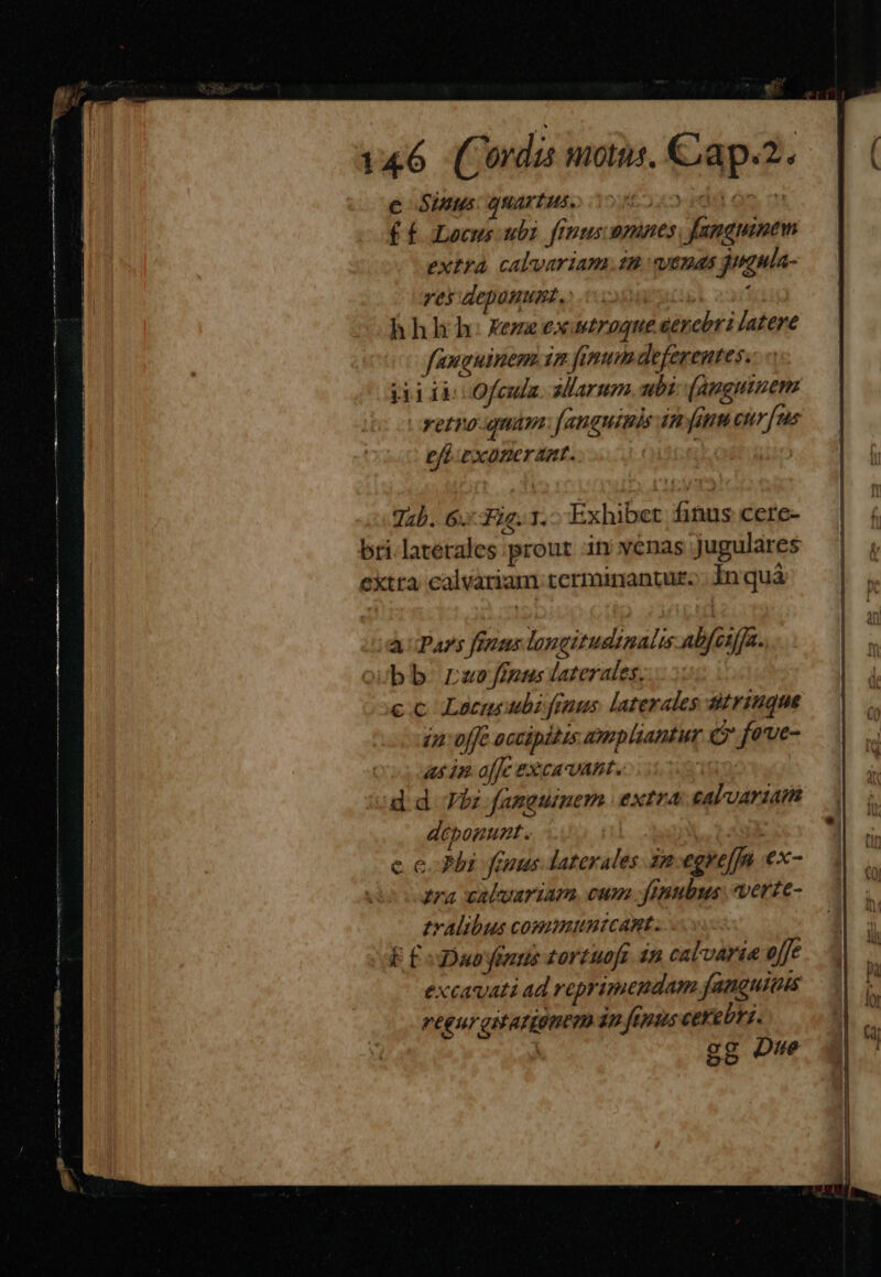 ^ 4^ e Sinus: quartus. f £ Locus ubi. frnus ananes, famauinem extra calvariam m venas gngula- res deponunt, Bl 2311 hhhh:Xezaexttroque cerebri /atere fanguinem 17 emu deferentes. jiiib Ofcula alarum ubi (angutnem vetro quam: fanguimis im fn curfus ef exonerat. ! Tab. 6. Fig. 1. Exhibet finus cere- bri. laterales prout in venas jugulares extta calvàriam terminantur... In quà A Pars fenus longitudinali abfesfja. bb roe jimus laterales, c.c Lacneubi fenus laterales sitriuque in: vffe occipltzs ampliantur c fove- às in. affe &EXca UAR. dd Vbi fanguinem extra: ealvariat deponunt . | ! c c. Phi fuus laterales zm-egyeffn €x- £ra valemriam. cum fgnubus. vertze- talibus comimuntcant. E EiDuoinus tortuoft 4n calvaria offe excavati ad reprimendam fanguitis reguraitatiónem ip fepus cerebri. gg Due ER DM Si Do i e c