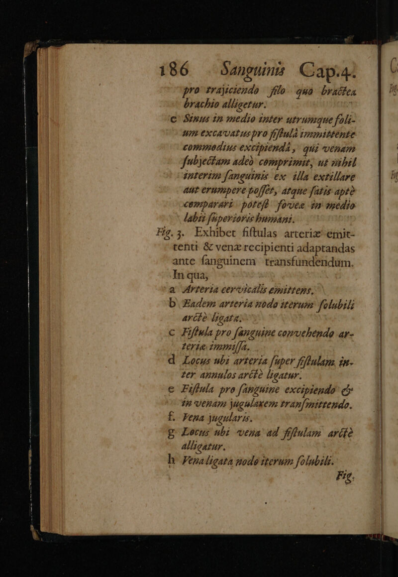 pro rrajeindo fio gua braifea byachio alliserur. | C Sentus in medio inter utrumque fols- m excovatuspro fflulà ipmmáttente.—| commodius excibienda ,' qui venam | fubyectam adeà: comprimut, ut Bibl —.|.— enterim fanguinis ex. illa extillare 4U* erumpere poffee, atque fatis apte compararz pottfü foee im medio labii fuperioris bumani. ^ Fig.3. Exhibet fiftulas arteriz' émic- tetti &amp; venz recipienti adaptandas ante fanguinemi transfündendum. In qua; | a WMrreria cervoicalis emittens, | b Eadem arteria modo iterum folubili arcte Ipoata. C Fifiula pro fanguine comvehende ar- Zerie zmmaffa. | d Locus ubi arterza fuper ffbulana im- — 1| zer annulos arcíà ligatur. c Fifiula pro fahguine excipiendo ej in venam jugulaxem trap[mittendo. E. Fena jueularis. g Lecus ubi vena ad fflulam arde | Allicazur. h. Fezaligata node iterum folnbili. Fre.