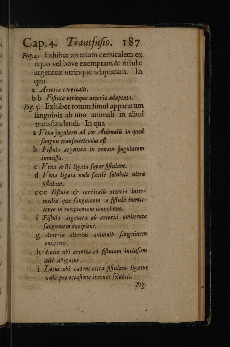 Fiz.4. Exhibet arteriam cervicalem ex equo vel bove exemptam &amp; fiftulz argentea utrinque adaptatam. jn qua a. f rtevia cervicalis, bb Jiflula utrinque arteria adaptata. Fit. y. Exhibet totum fimul apparatum - fanguinis ab uno .animali in aliud transfundendi. In qua a Vena jugularis ad. cor Zdnimalis in quod fauguis tranfmittendw eft. b ifla argentea in. venam jugularem immiffa. c Vena avü? ligata fuper fiftulam. d. Jena ligata nodo facilé folubili. ultra fiflulam. ecc Aflule €» cervicalis avteia. inter- mediz que fanguinem | a fiflulá immit- tente in vecipientem conyebunt. f Fiflula - argentea. ab- avteriá. etittente fanguinem excipiens. g. Arteria: altevins - animalis fanguinem emittens. zhe£ocus ubi arteria ad. fiffulam inclufam « Wéáe Alligatur. | i Locus: ubi eadem ultva fiflulam: ligatut nodo: pro occafione iterum folubili.