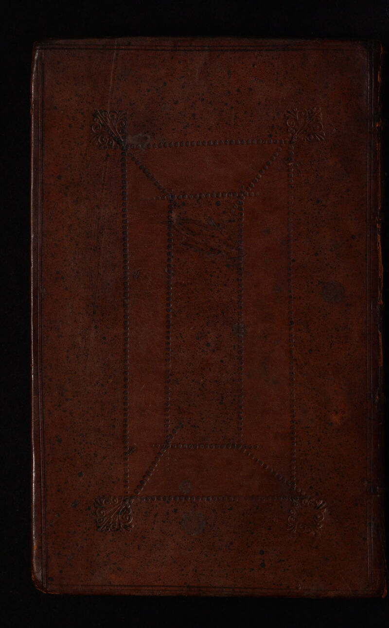 DiS ee Ca aS ¢ BM BO om 3 et ihe pete e foe ek Wy e- ewes By oa “SSaann es! ob potent 2 any