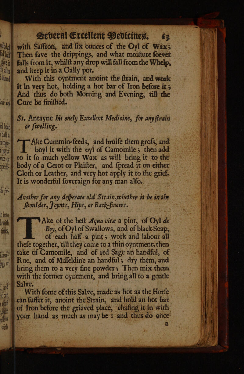 Wicd with Saffron, and fix ounces of the Oy! of Waxs cd hat) ‘Then fave the drippings, and what moifture foevet titi) Falls from it, whilft any drop will fall from the Whelp, Nat) and keep it ina Gally por. | With this oyntment anoint the firain, and work ft in very hot, holding a hot bar of Iron before it 5 And thus do both Morning and Evening, till the i) Cure be finifhed. ap Antayne bis onely Excellent Medicine, for any train or felling. if It is wonderful foveraign for any man alfo,. Another for any defperate old S train,zohether is 'be in ale shoulder, Foynts, Hips, or Back-finews. th Ake of the beft’ Agua vite a pint, of Oy] &amp; ite Boy, of Oy] of Swallows, and of blackSoap,. i of each half.a pint; work and labour all thefe together, till they come to a thin oyntmens then )&amp; take of Camomile, and of red Sage an handful, of “8 Rue, and of Miffeldine an handful; dry them, and , bring them to a very fine powder; Then mix them | with the fortner oyntment, and bring all to a gentle &gt;) @ Salve. | | : \ B - With fomie of this Salve, made as hot as the Horfe io\@ can fuffer it, anoint the Strain, and hold an hot bar of Tron before the grieved place, chafing ic in with: your hand as much as may be : and thus do ojice’ i | a