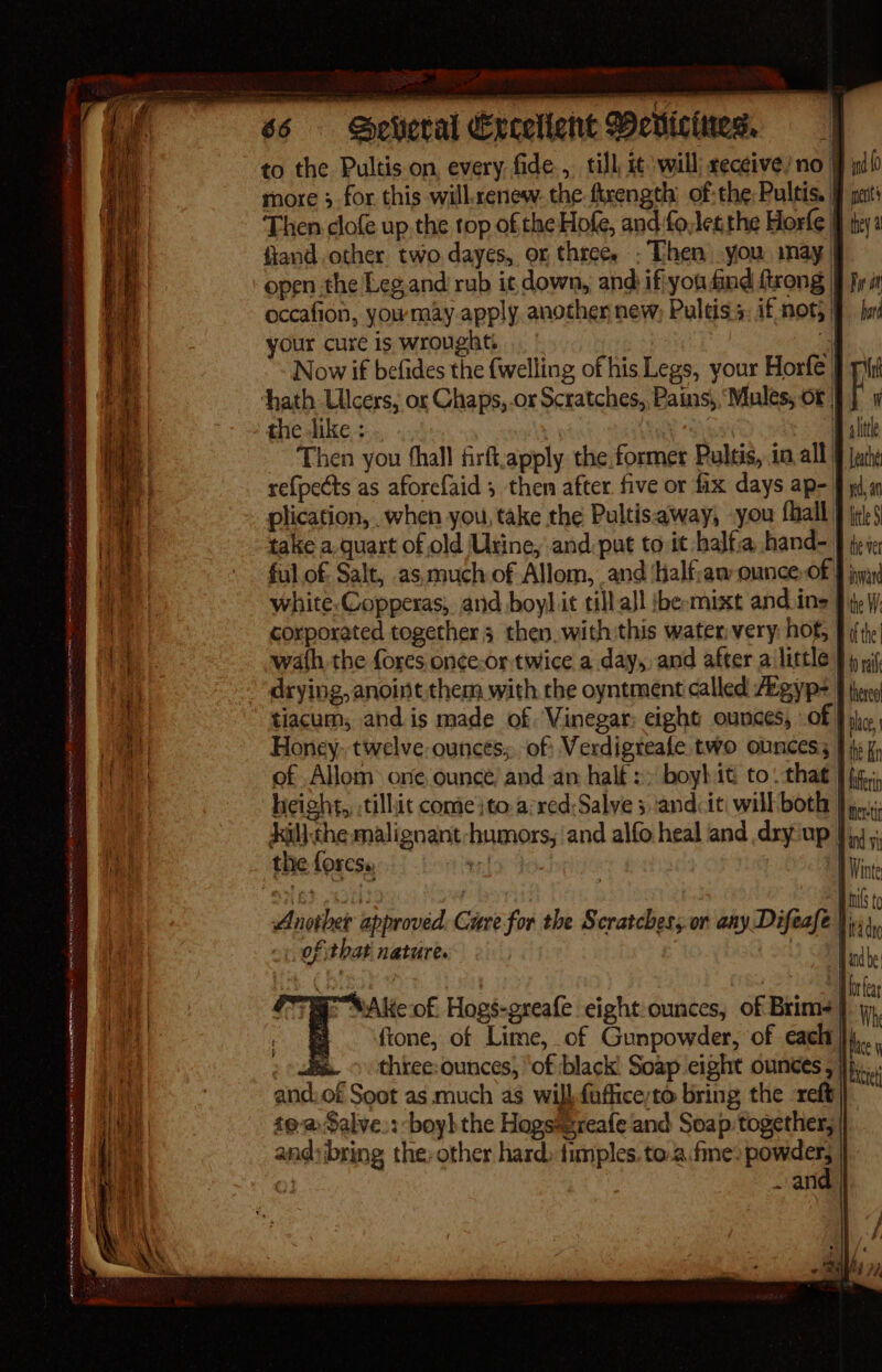 pera ets ows MAMIE ATER HT ALITA Ke SHEEN Rm rte ey tortie ad Doe rae teed tate ee ee ae _ oer eae eee Sc ESS a a ae wi ST TN RR a MR al ERIN OF monk we a. &gt; ~ eee to the Pultis on every, fide, till twill; receive) no } ini more 3, for this will.renew. the ftrength’ of:the Pultis. pets Then clofe up.the top ofthe Hofe, and:fo,legthe Hore § ty fiand. other two dayes, or three. . Then you may. open the Leg,and rub it, down, and if-you find ftrong | fy i occafion, you may apply, anothen new, Pultiss if not, if hut your cure is wrought, 7 Now if befides the {welling of his Legs, your Horfe 7 thath Ulcers, or Chaps, .or Scratches,, Pains, “Mules, or | the like : , . Then you hall firftapply the.former Pultis, 10. all 9 Jat se{pects as aforefaid , then after five or fix days ap- § da plication, . when you, take the Pultisaway, you {hall } jrl-5 take a.quart of old Urine, and put to it -halfa hand= f te ie ful of. Salt, as, much of Allom, and Half;am ounce-of § inna white.Copperas, and boy] it till all be-mixt and.ine § tej corporated together 3 then. with this water very: hot, f ifthe! wath the fores once-or- twice a day, and after a little fp yi drying, anoint them with the oyntment called Abgyp= J tg tiacum, and is made of Vinegar: eight ounces, Of J ihe Honey. twelve: ounces; of} Verdigteafe two ounces, § i) fi of Allom one ounce, and an halt :. boybit to. that ] fi, height, :tilhit come ito. a:red:Salve 5 :andcit: will both } j.; il}. che malignant-humors, and alfo heal and dry up }) the foresy: | 6 4x! ? Anothet approved Care for the Scratches; or any Difeafe }, 1, of that nature. rm: SAlieof. Hogs-greafe eight ounces, of Brim | ftone, of Lime, of Gunpowder, of eaclt }}j,. m. © -three:ounces, ‘of black Soap eight ounces, and:of Soot as much as willfafficeyto bring the reft tea Salve.:-boyhthe Hagsspreafe and Soap together, | and: bring the-other hard, fimples. to.a.fine: cae 03 . and |