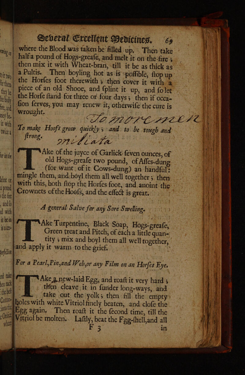 mip ,| Where the Blood was taken be filled up. . Then take ) half pound of Hogs-greafe, and melt it on the-fire 5 | then mix it with Wheat-bran, till it be as thick as nithig| 2 eae ; trate Bo yltbg. a . ‘is “poffible, Hop up thin the Horfes foot therewith ; then cover it with a tere) Piece of an old Shooe, and plint it. up, and folet 7 ! q | the Horfe ftand for three of four days; then if occa= “tt Gon ferves, you may renew it, otherwife the cure is ite, and | | eye Wrought, it with | twice a | To make Hoofs grow. quickly and. to be tough and a ih o77 the ata ; ee Ake of the juyce of Garlick’ feven ounces, of mitt _ old Hogs-greafe two pound, of Affesdung | (for want , of it. Cows-dung) an handful: | mingle them, and:boyl them all well together ;. then Ii Ot) with this, both {top the Horfes foot, and, anoint the Jara -Crownets ofthe Hoofs, and the effet is great. Neal | ; wee | A general Salve for any Gis Swelling. | r t n | Ts Turpentine, Black Soap, Hogs: preafe, isater Green treat and Pitch, of each a little quan- F tity } mix and boy] them all well together, _}and apply ic warm to the grief. het