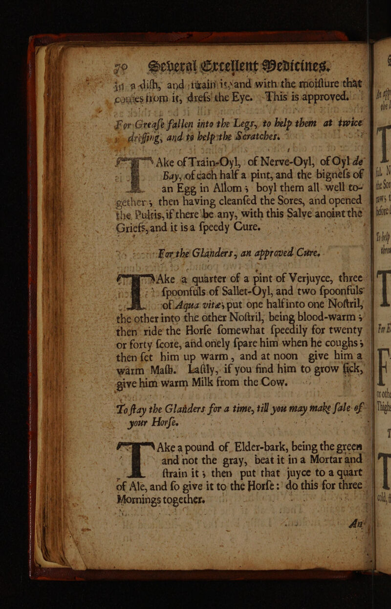 ON ER 2 eR ME a NRE IO er CR ARES en my ra mT HIP ALY a4 ae SN mm HR &lt;7 fa —_——_ re Z - ~ = s ~ couiies from its sats: the Eye. -This is ste ag drifings and te belp the Seratches. ~ 7. Ake of Train-Oyl, of New Or! of Ol de, * of Bay, of cach half a pint; and the bignels of fil N an Egg in Allom: boy! them all-well to» | ixs0! Bs of Aqua vite, put one halfinto one Noftril, then ride the Horfe fomewhat {peedily for twenty | . | then {et him up warm, and at noon give hima | | warm Mafh.) Lafily,. iff you find him to ape fick, | | | To fiay an Glatders for a time, iy you may ms ie of iM your Horfe.. | Ake a pound of Elder-bark, being the green | é ‘and not the gray, beat it ina Mortar and | ftrain it; then put that juyce to a quart | of Ale, and fo give it to the Horfe : ‘do hats or three +H ol Homing as ei td