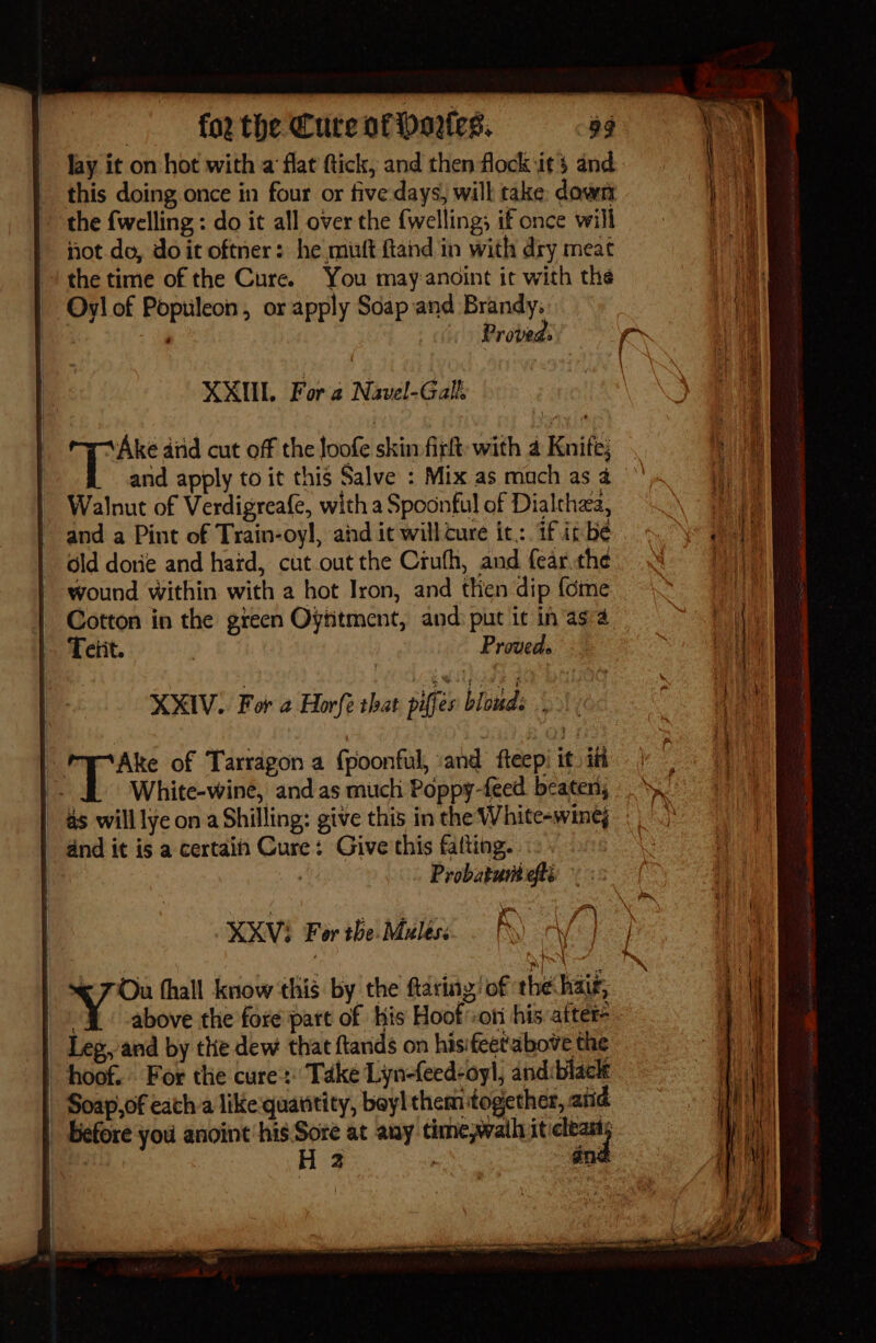 fay it on hot with a flat ftick, and then flock its and _ this doing once in four or five days, will take: down the {welling : do it all over the {welling; if once will not.do, doit oftner: he mut ftand in with dry meat the time of the Cure. You may-anoint it with the Oyl of Populeon, or apply Soap and Brandy, Proved: XXIM. Fora Navel-Galf ‘Rupes aiid cut off the loofe skin firlt- with a Knite; and apply to it this Salve : Mix as mach as 4 Walnut of Verdigreafe, with a Spoonful of Dialthza, and a Pint of Train-oyl, aind it will cure it: if it be _ ld dorie and had, cut out the Crufh, and fear.the wound within with a hot Iron, and then dip {ome - Cotton in the green Oyntment, and: put ic in asa Teiit. Proveds XXIV. For 2 Horfe that piffes biowds XXVi For the. Muléss ) Aff 4 © 7 Ou fhall know this by the faring’ of the hai, , above the fore part of his Hoof':oni his atter- Lep,, and by the dew that ftands on hisifeetabove the | hoof. For the cure: Take Lyn-feed-oyl, andiblack - Soap,of eath a like quatitity, beyl chem together, aiid | Before you anoint his Sore at any time,waih iticleam,