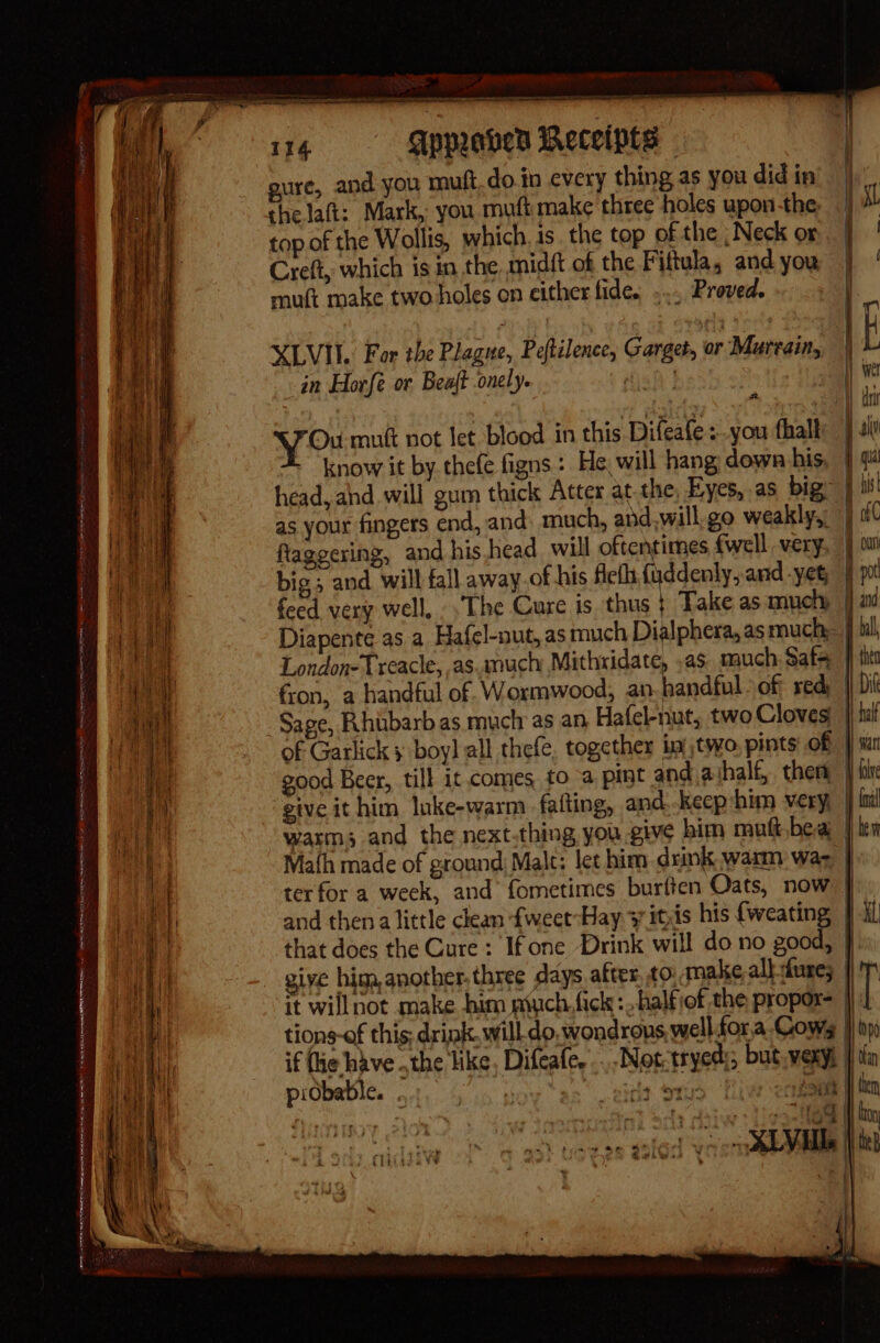 a : - - - prs ome TAH GP SAARC RT HNN oN Kenner eae DMITRI Eerie rn : » . —- = = 5. 2 4 eer ee ‘oo... 2a ee ea = ee as . aa ii . ~ eee Se — - - F a og sae “si : a or 2a ~ pe ae Sat itera — 114s @HaeD Receipts eure, and you muft do.in every thing as you did in the laft: Mark, you muft make three holes upon -the: top of the Wollis, which. is. the top of the ; Neck or Creft, which is in the midft of the Fiftula, and you muti make two holes on either fide, .... Proved. XLVI. For the Plague, Peftilence, Garget, or Mureain, in Horfe or Beaft onely. fat] | : - you mutt not let blood in this Difeate : you fhalt head, and will gum thick Atter at.the, Eyes, as big~ London-Treacle, as.anucty Mithridate, ,as. much Sats fron, a handful of. Wormwood, an be Sage, Rhubarb as much as an Hafel-nut, two Cloves of Garlick } boy] all thefe, together im) two, pints of good Beer, till it. comes 0 a pint and ajhalf, ther give ithim lnke-warm falting, and.-keep:him very, thal 1) war i} fol pidbable. ‘ rs “en Bere Sets fT of put rae sor tok Do: ; ; Lay, [a9 See teled yoo Hf te Hoy te