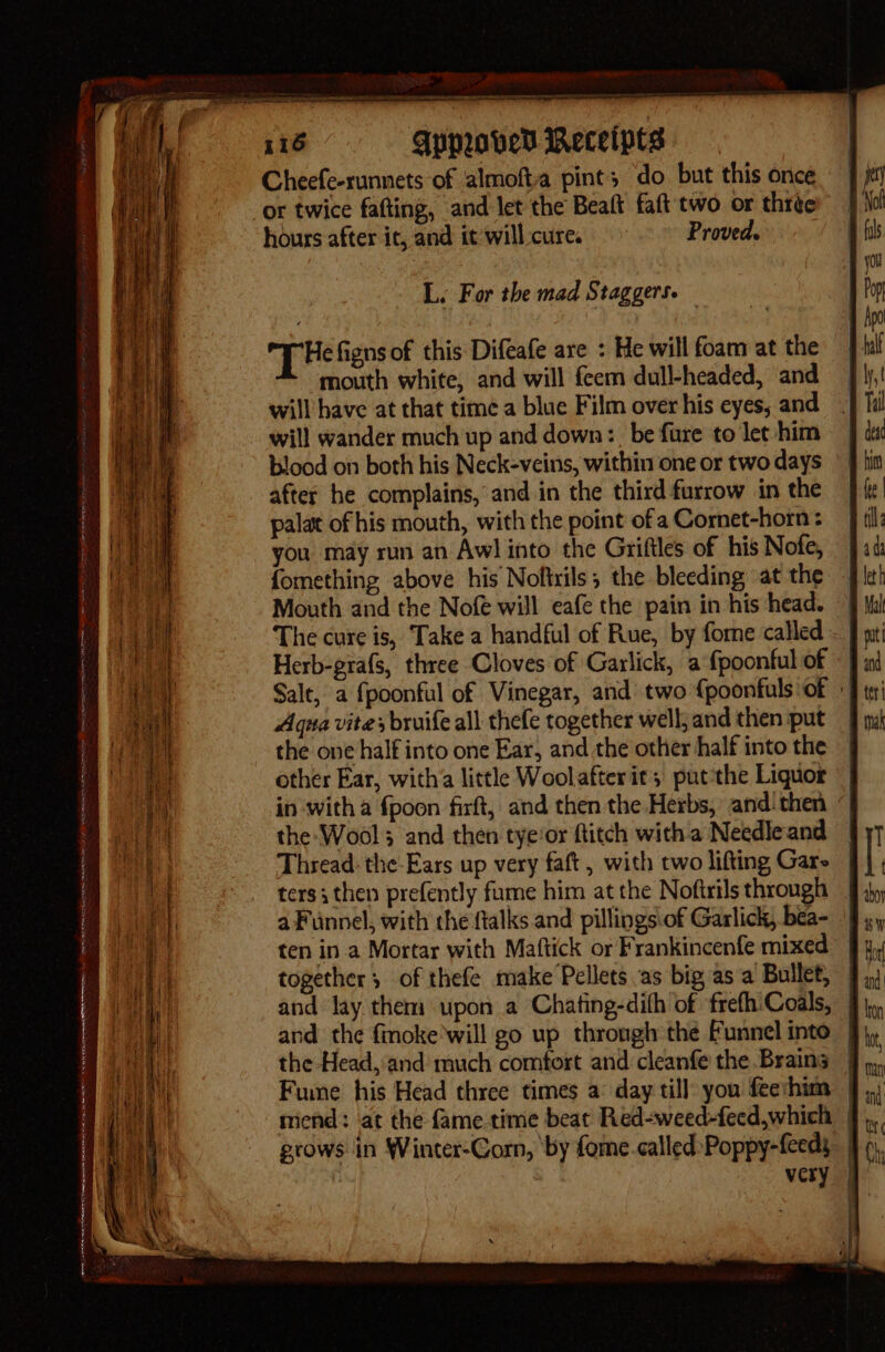 dices ree ee a oe 116 Apmoved Weceipts Cheefe-runnets of almofta pint; do but this once or twice fafting, and let the Beaft faft two or thrte hours after it, and it will:cure. Proved. OO ue L. For the mad Staggers. The figns of this Difeafe are : He will foam at the mouth white, and will feem dull-headed, and will have at that time a blue Film over his eyes; and will wander much up and down: be fure to let him blood on both his Neck-veins, within one or two days after he complains, and in the third furrow in the palat of his mouth, with the point ofa Cornet-horn: you may run an Awl into the Griftles of his Nofe, fomething above his Noftrils; the bleeding at the — Mouth and the Nofe will eafe the pain in his head. § The cure is, Take a handful of Rue, by forne called J nt Herb-prafs, three Cloves of Garlick, a {poonful of Salt, a {poonful of Vinegar, and two {poonfuls of » Aqua vite; bruife all thefe together well, and then put _ the one half into one Ear, and the other half into the | other Ear, witha little Woolafter it; put the Liquor in ‘with a {poon firft, and then the Herbs, andi then the Wools and then tye‘or ftitch witha Needleand | Thread: the Ears up very faft, with two lifting Gar» ters; then prefently fume him at the Noftrils through | a Funnel, with the ftalks.and pillings.of Garlick, bea- ten in a Mortar with Maftick or Frankincenfe mixed together; of thefe make Pellets as big as a Bullet, | and lay them upon a Chating-dith of frefh:Coals, | and the fmoke will go up through the Funnel into | the Head, and much comfort and cleanfe the Braing | Fune his Head three times a day till you feechim 9.) mend: at the fame time beat Red-weed-feed,which grows in Winter-Corn, ‘by fome.calledPoppy-feedy, | very FO TR ne eR RINT Fn REI en OU mY CII ALIN aN Ee trS mine ws = . mas i sera wi es cant