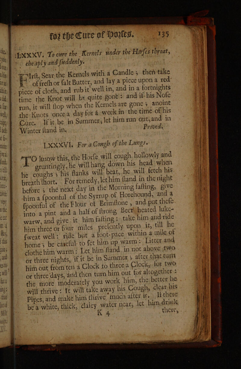 PXXXV. To cure the Kernels under the Horfes throat, cheaply and fuddenly. @ hIrft; Sear the Kernels with a Candle 5 then'take E - of freth or fale Butter, and lay a piece upon a red _ piece of cloth, and rub it well in, and in a fortnights time the Knot will be quite gone: and if- his Nofe ‘tun, it will flop when the Kernels are gone 5 anoint the Knots oncea day for a-week inthe time-of his Cure. If it, be in Summer; let him run outjand in Winter ftand in. Proved. LXXXVI. For 2 Gough of the Lungs. ig know this, the Horfe will cough hollowly and gruntingly, he will hang down his head when he coughs 3 his flanks will beat, he will fetch his breath {hort. . For remedy, let him fiand in the night before 3 the next day in the Morning fafting, give him a fpoontul of the Syrrup of Horehound, and a fpoonful of the Flour ot Brimitone , and. put thefe into a pint and a half of ftrong Beer heated luke- warw, and give it him falting : take him and ride him three or four miles prelently upon it, till he fweat well: side but a foot-pace within a mile, of home: be careful to fet him up warm: Litter and clothe him warm: Let him fiand. in not above! two ox three nights, if it be in Sumamer &gt; after that turtt hirn out from ten a Clock to threea Clock, for two or three days, arid then turn him out for altogether the more moderately you work him, the better he will thrive‘ Ic will take away his Cough, cleat his Pipes, and make him élirive much after it.) Itthere be a white, thick, claicy water near, let him drink