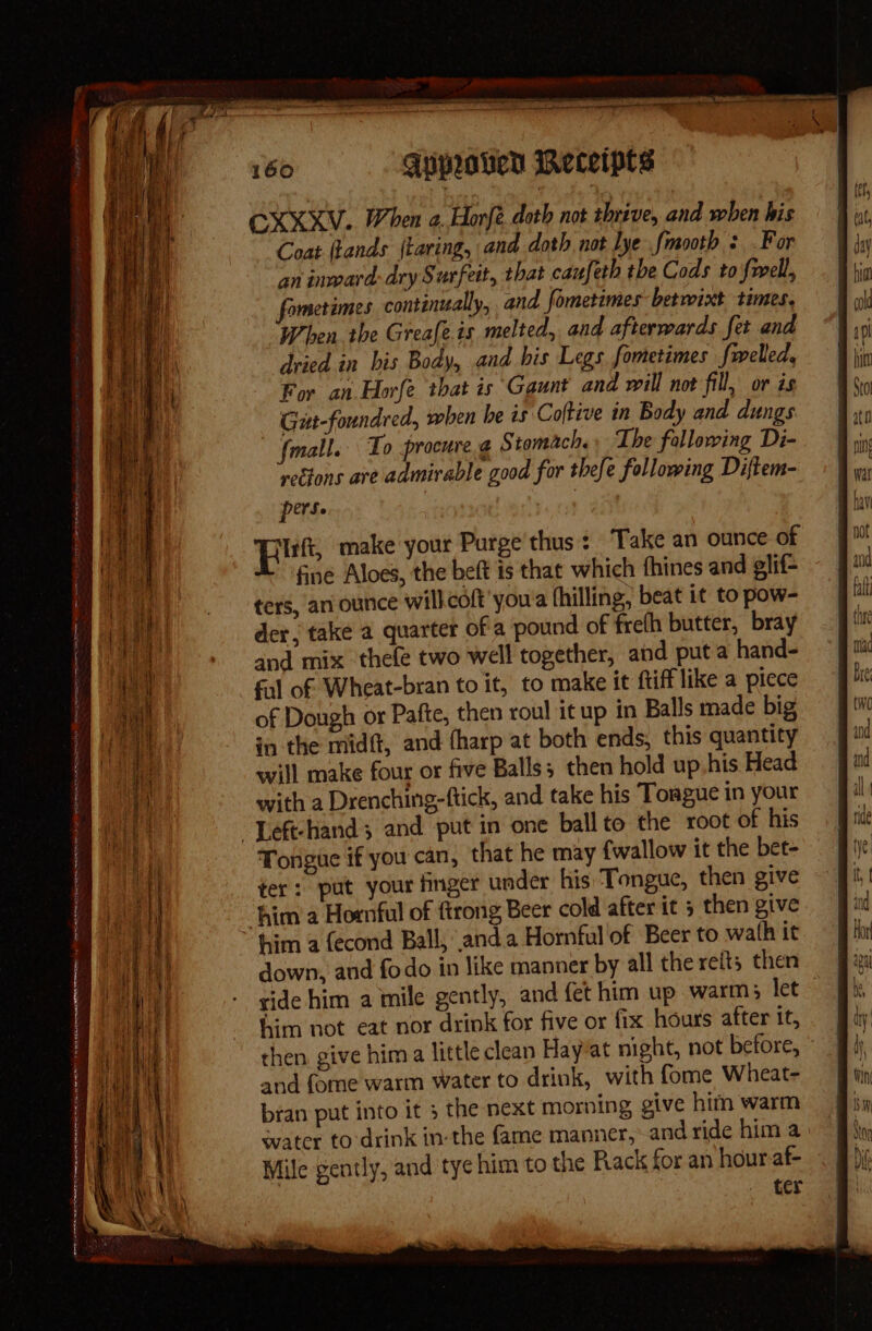 8 a ee tee = oe CE OIA a oes Ma SO a Ee RIE men . &gt; f —— ia SEN ON TREE ELT CEOS ee oe al a ats = : MITA a ae ge TIN Re Re ernment eran totmnn e sei a 160 AQypeaved ineceipts CXXXV. When a. Horfé. doth not thrive, and when his Coat ftands {taring, and doth not lye fmooth : For an inward: dry Surfeit, that caufeth the Cods to fwell, fometimes continually, and fometimes betwixt times. When the Greafe is melted, and afterwards fet and dried in bis Body, and his Legs fometimes fwelled, For an Horfe that is Gaunt and will not fill, or is Gut-foundred, when he is Coftive in Body and dungs rections ave admirable good for thefe following Diftem- pers. Pes make your Purge thus: ‘Take an ounce of fine Aloes, the beft is that which fhines and glif- ters, an ounce will. coft'youa fhilling, beat it to pow- der, take a quarter ofa pound of fre(h butter, bray and mix thefe two well together, and puta hand- fal of Wheat-bran to it, to make it ftifflike a piece of Dough or Pafte, then roul it up in Balls made big in the midft, and (harp at both ends, this quantity will make four or five Balls; then hold up his Head with a Drenching-ftick, and take his Toague in your Tongue if you can, that he may {wallow it the bet- ter: put your finger under his Tongue, then give him a Hornful of ftrong Beer cold after it 5 then give him a fecond Ball, anda Hornful of Beer to wath it down, and fodo in like manner by all the refit; then ride him a mile gently, and fet him up warm; let him not eat nor drink for five or fix hours after it, then give hima little clean Hay-at night, not before, and fome warm water to drink, with fome Wheat- bran put into it 3 the next morning give him warm svater to'drink in-the fame manner, and ride him a: Mile gently, and tye him to the Rack for an houraf- . fer